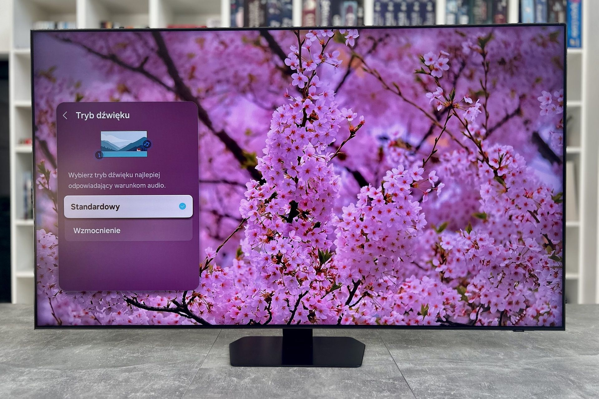 Samsung Neo QLED 65QN92F - ustawienia audio
