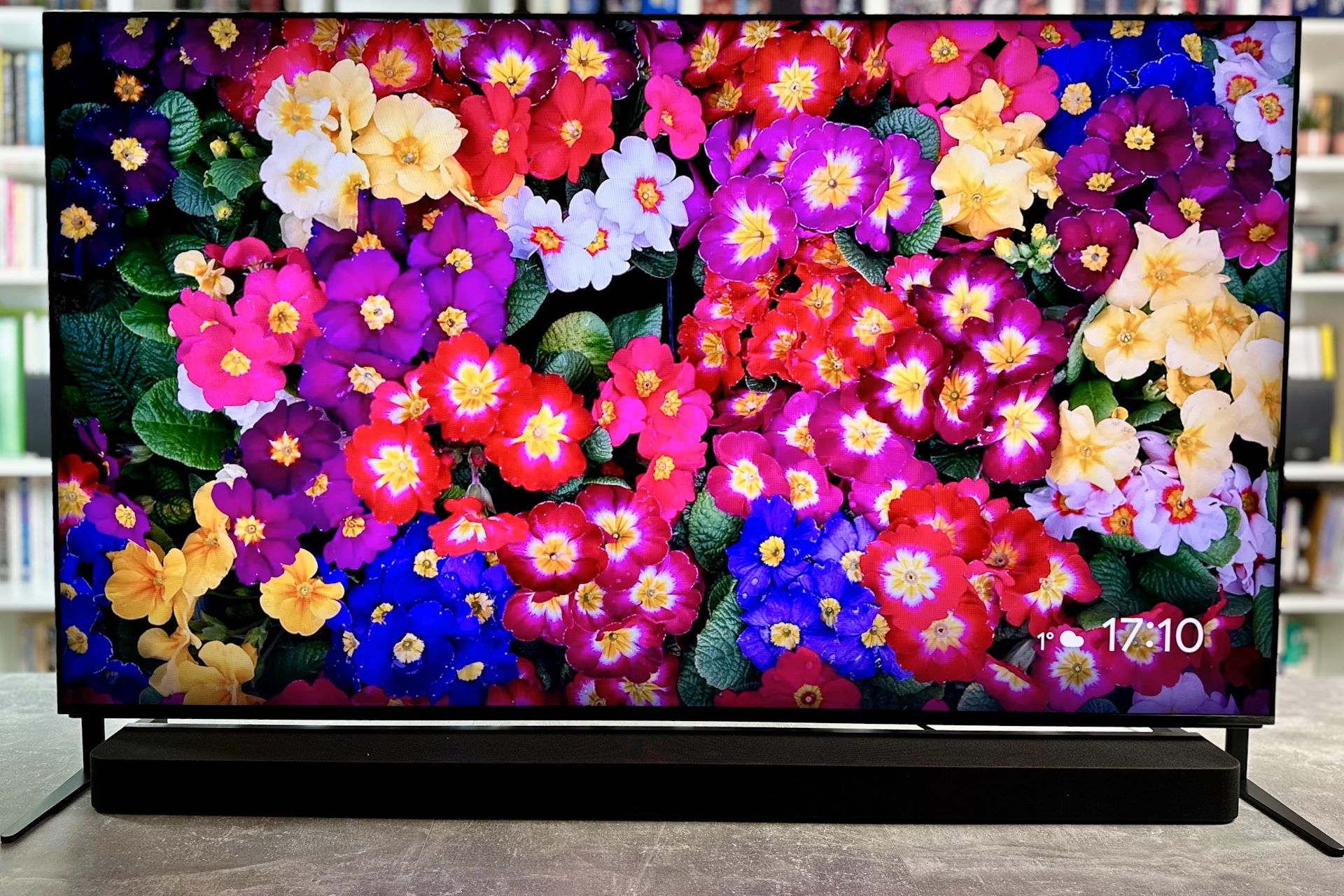 Sony Bravia 9 (65XR90) - kolory
