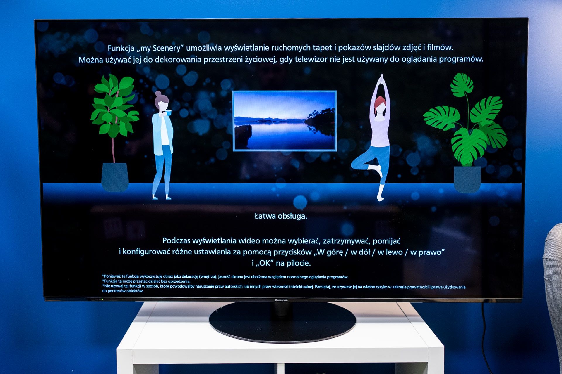 Panasonic TX-55LZ1000E - tryb myScenery