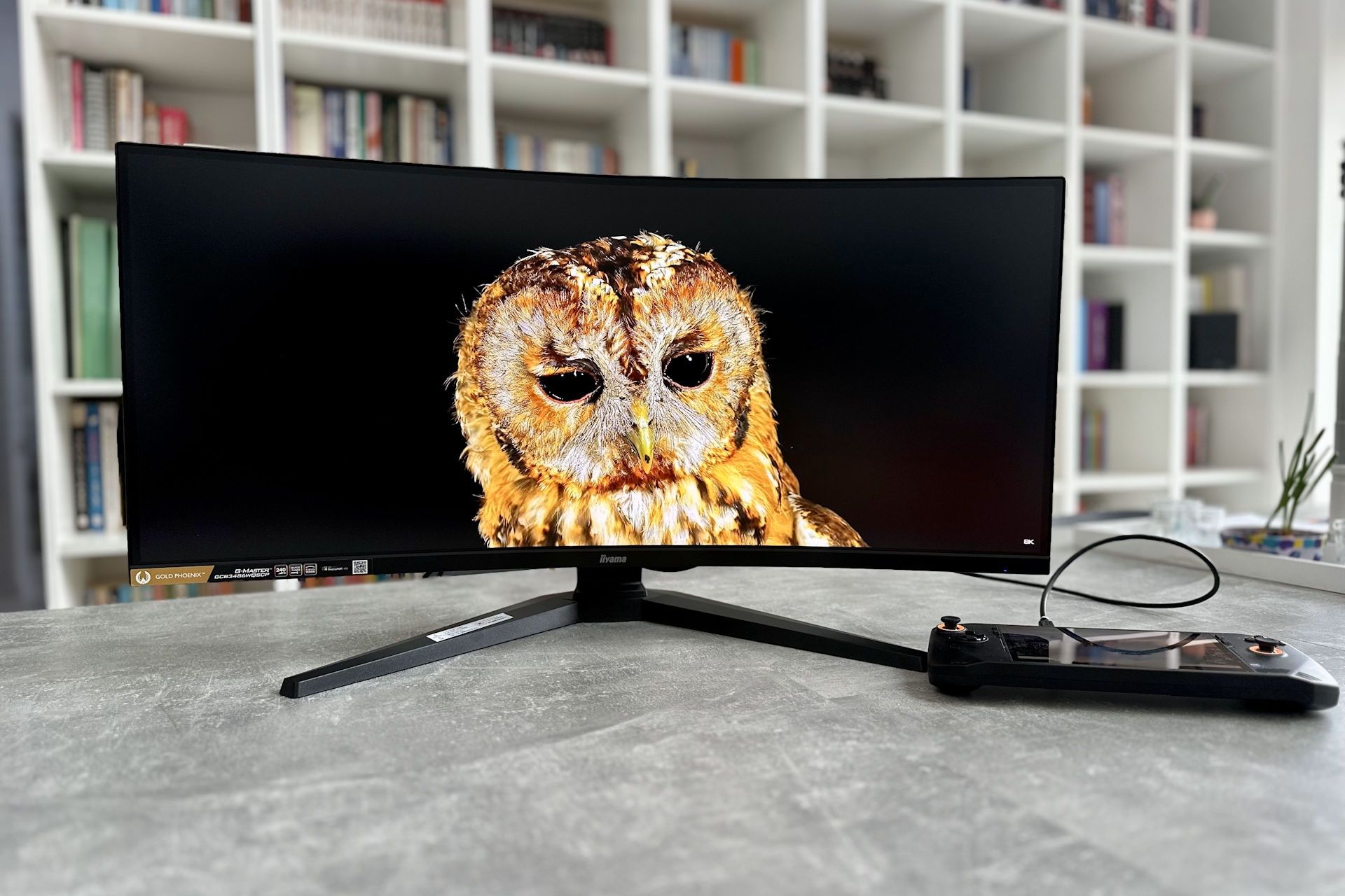 iiyama G-Master GB3486WQSCP Gold Phoenix - sowa