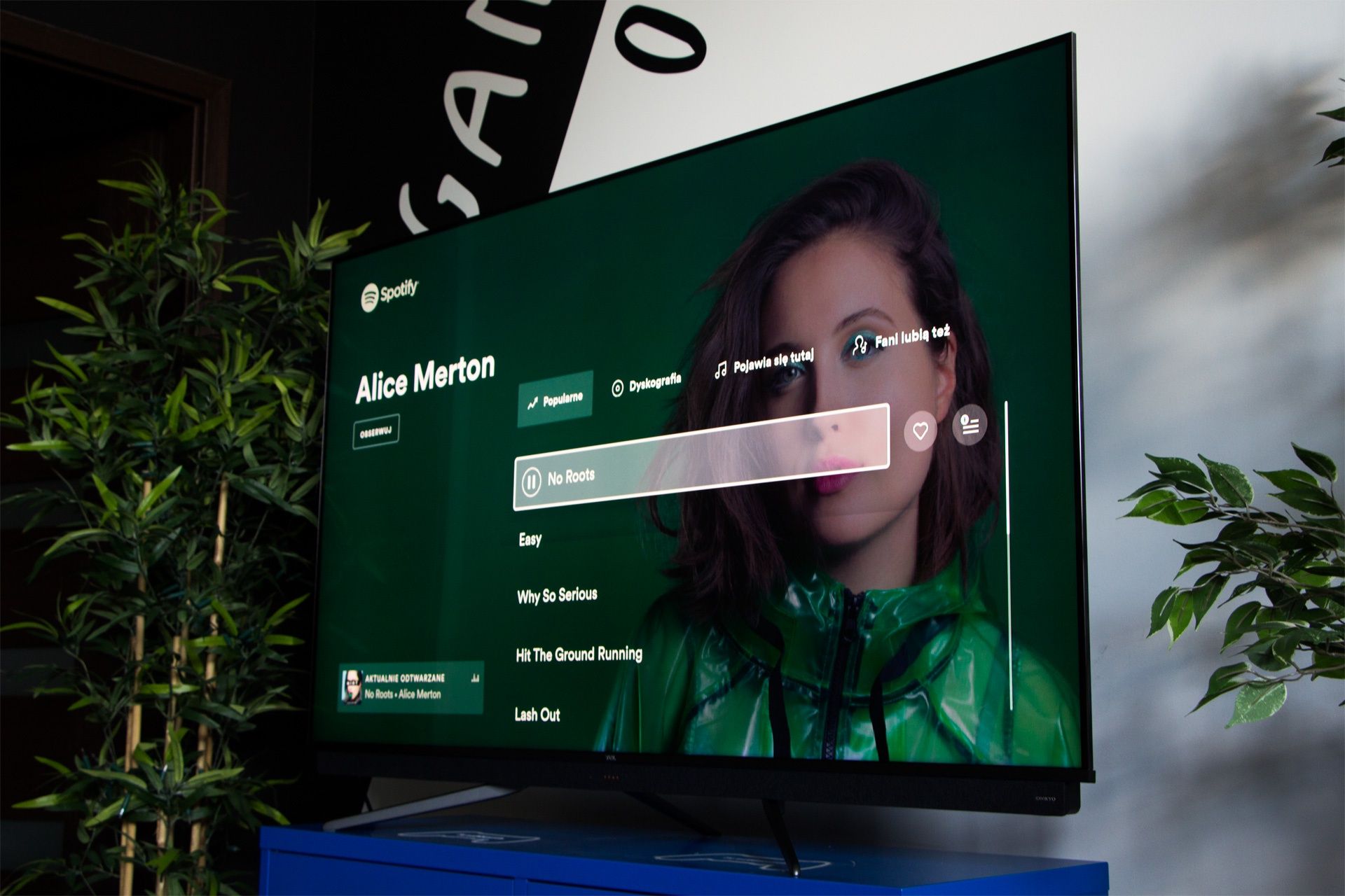 TCL 65C815 - Obsługa aplikacji muzycznych