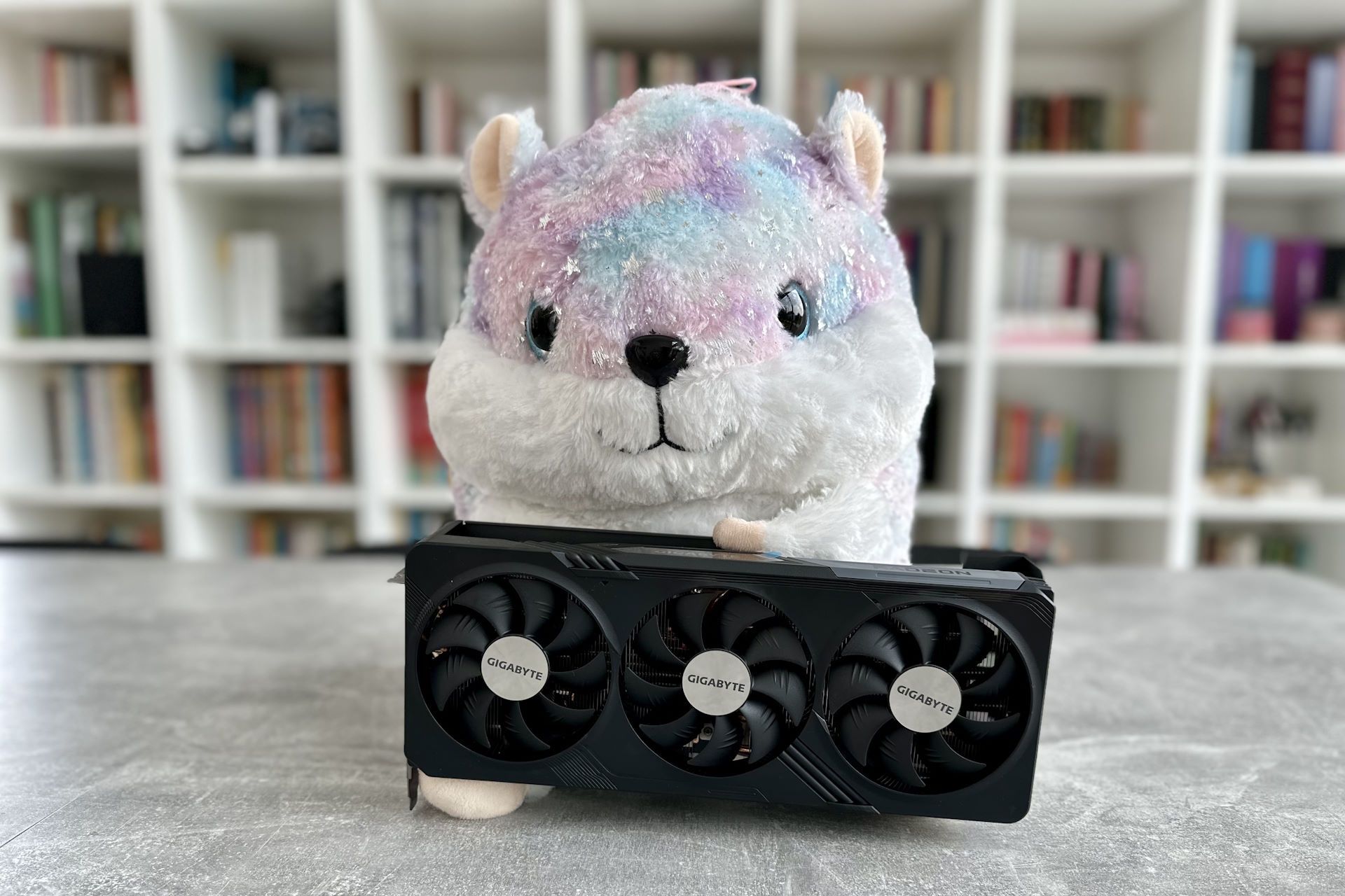 Gigabyte Radeon RX 7900 GRE Gaming OC - chomik trzyma kartę