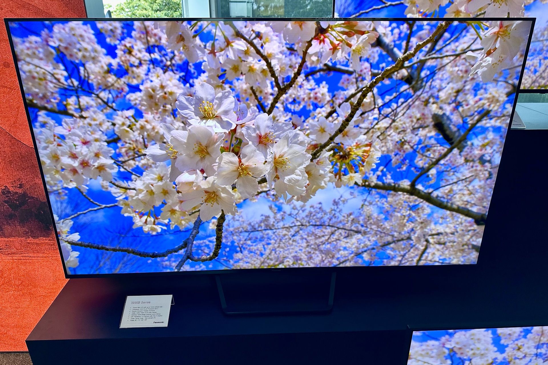 Panasonic - nowości w 2025 - W95B