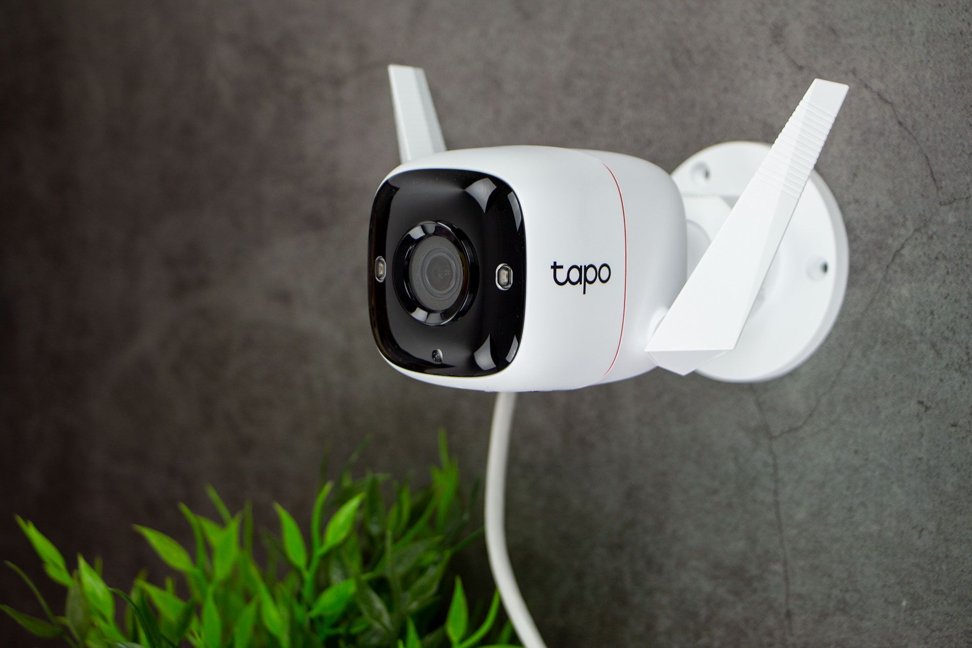 TP-Link Tapo C310 - na ścianie