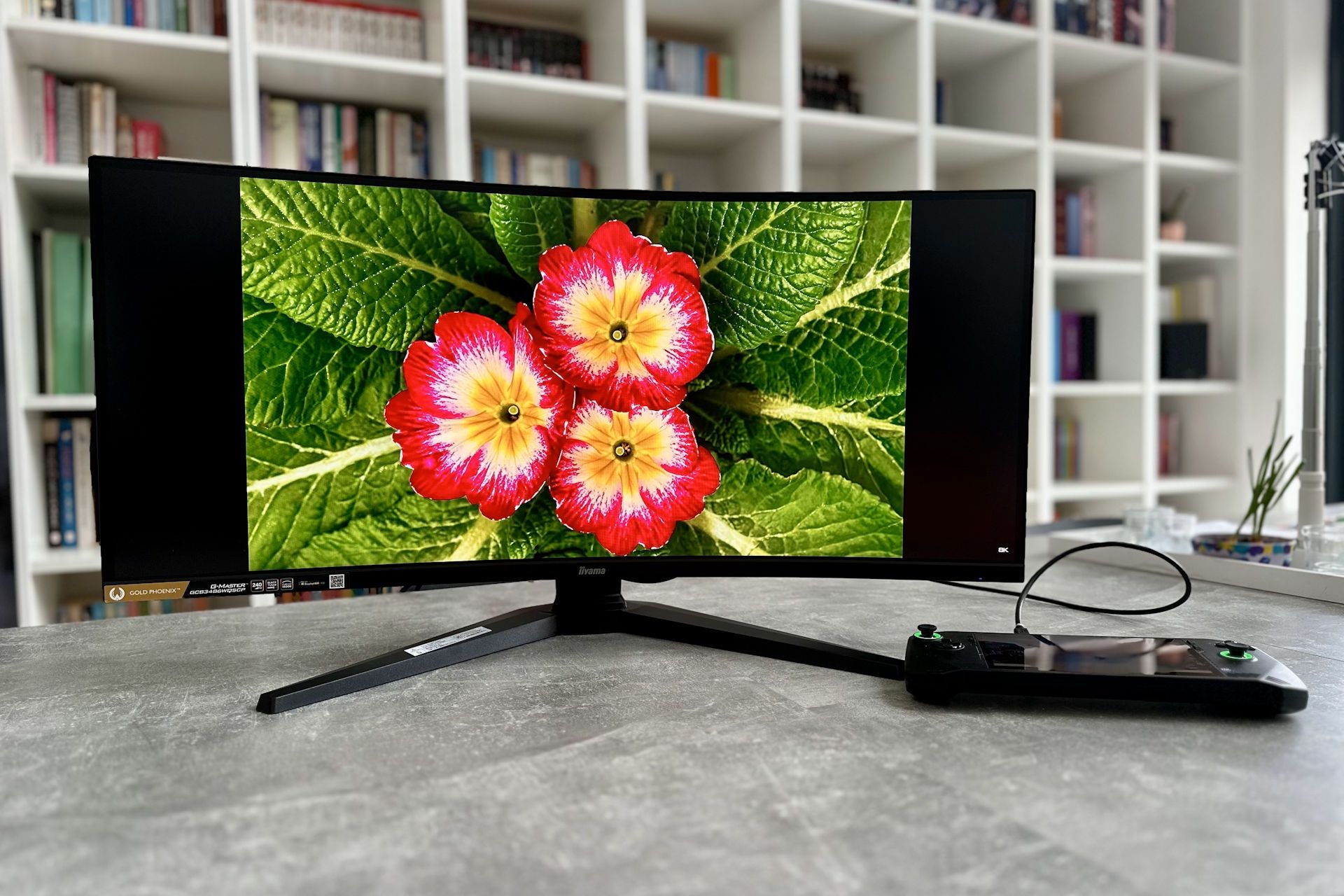 iiyama G-Master GB3486WQSCP Gold Phoenix - kolorki