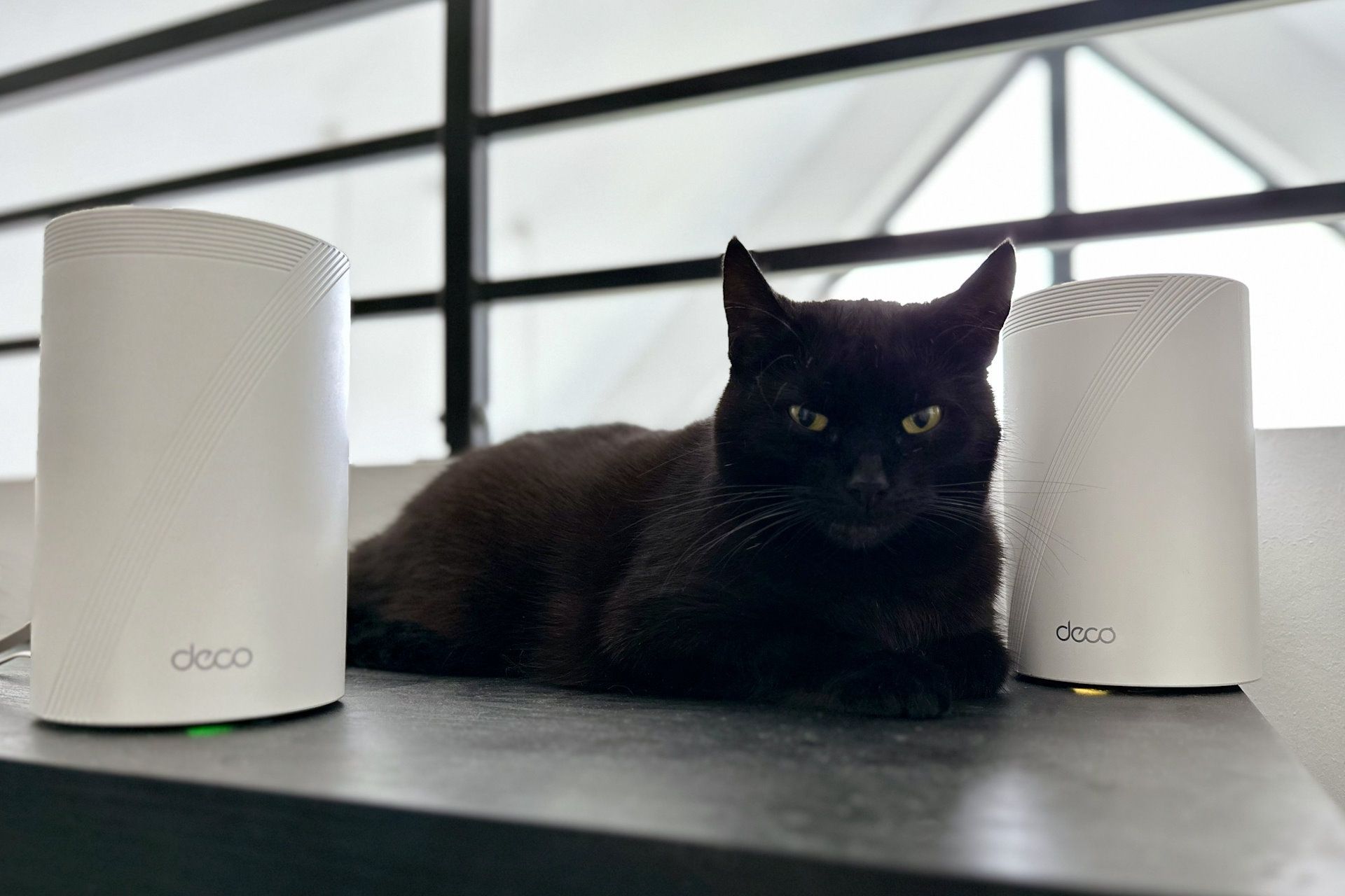 TP-Link Deco BE65 - z kotkiem