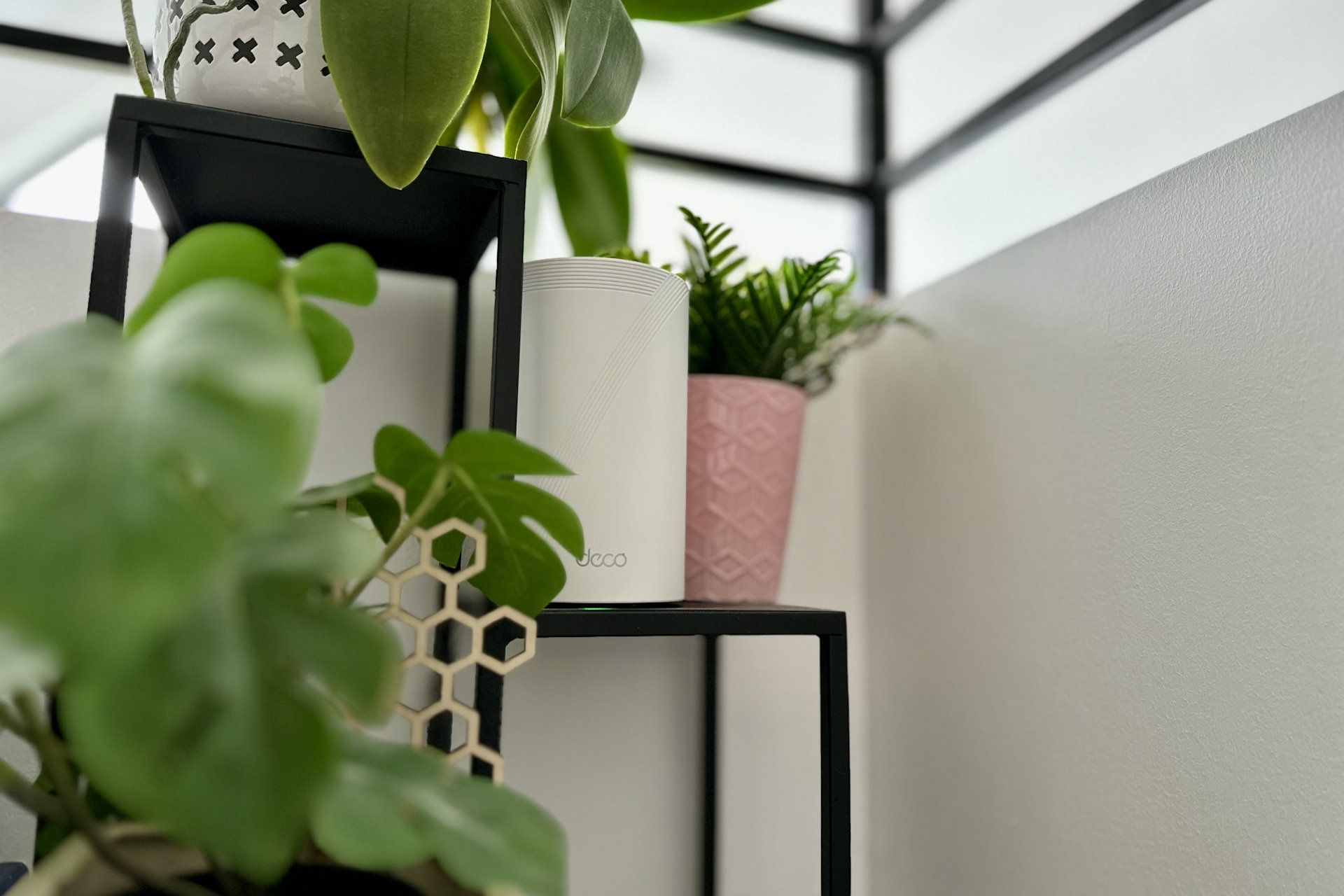 TP-Link Deco BE65 - obok kwiatka
