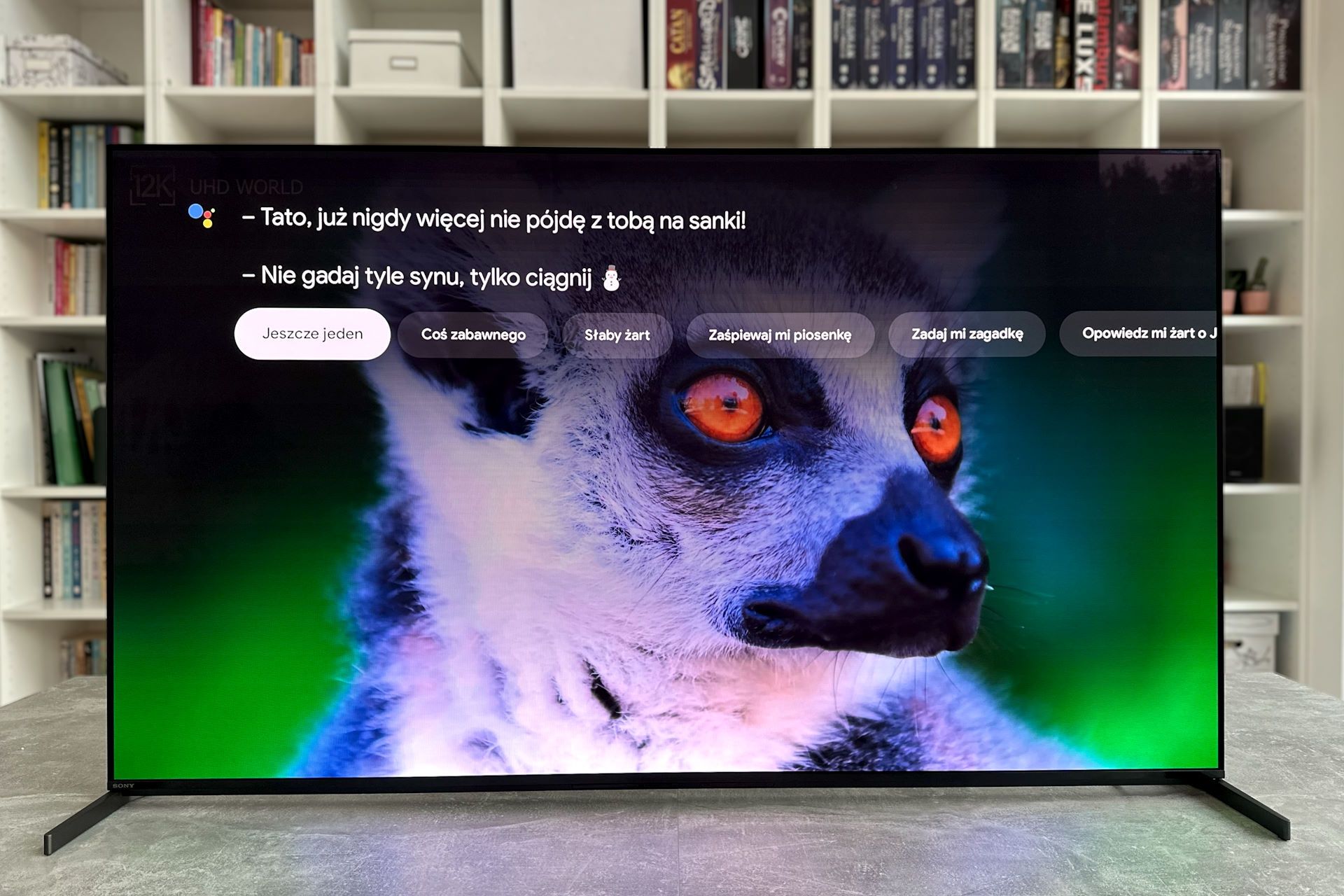 Sony Bravia XR-55A95L - asystent głosowy
