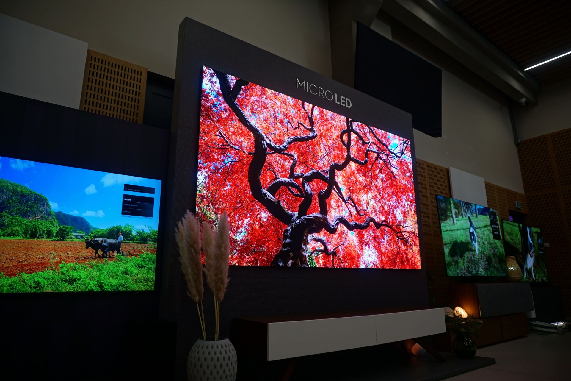 Samsung MICRO LED 110 - jasność 3