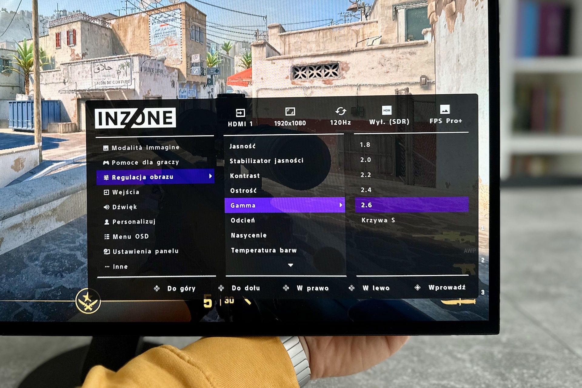 Sony InZone M10S - ustawienia