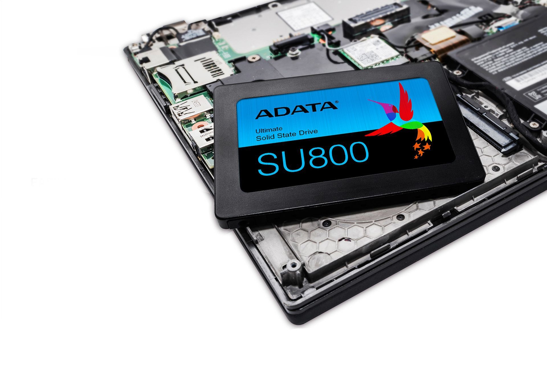 ADATA Ultimate SU800 - dysk SATA