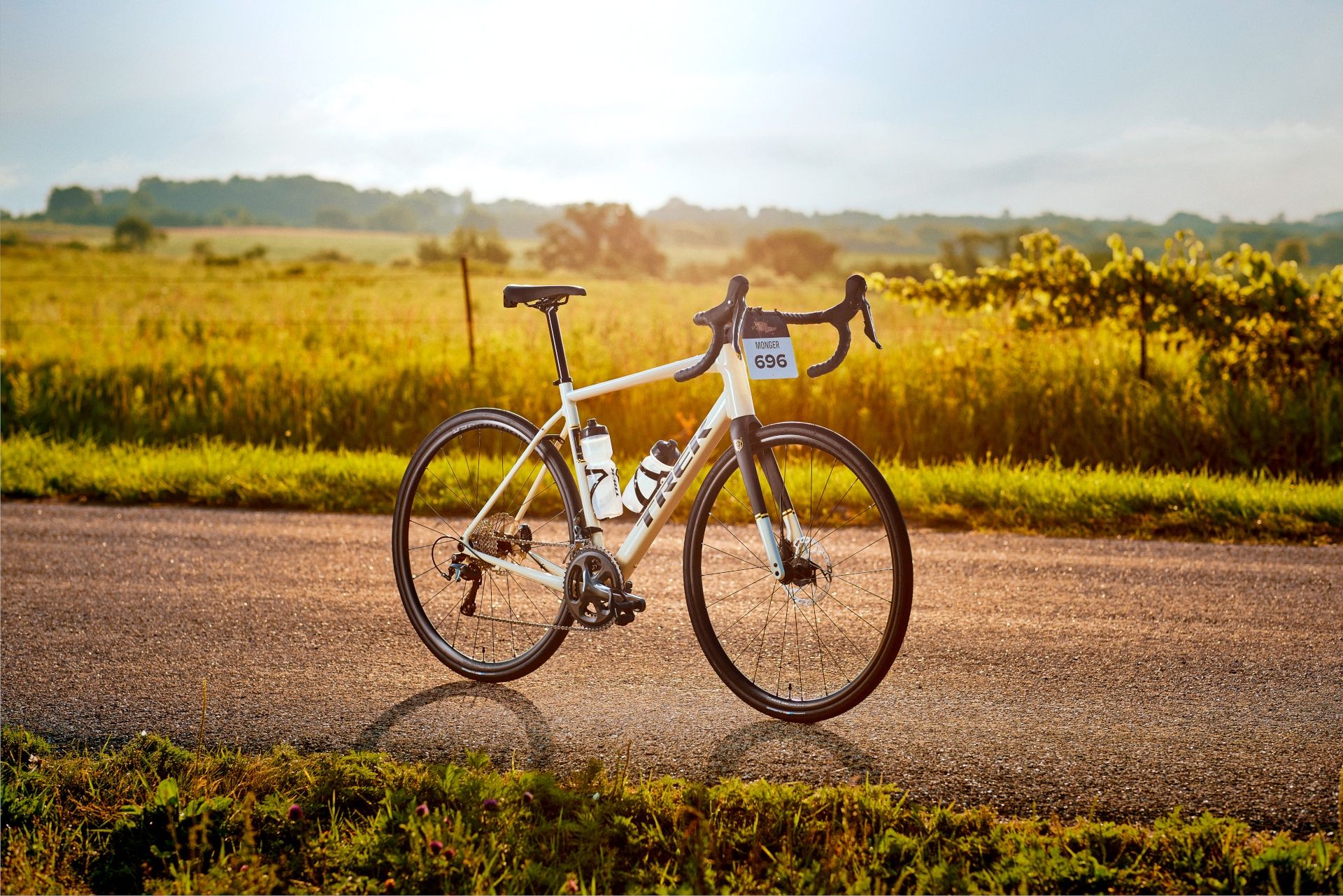 Szosa endurance Domane.