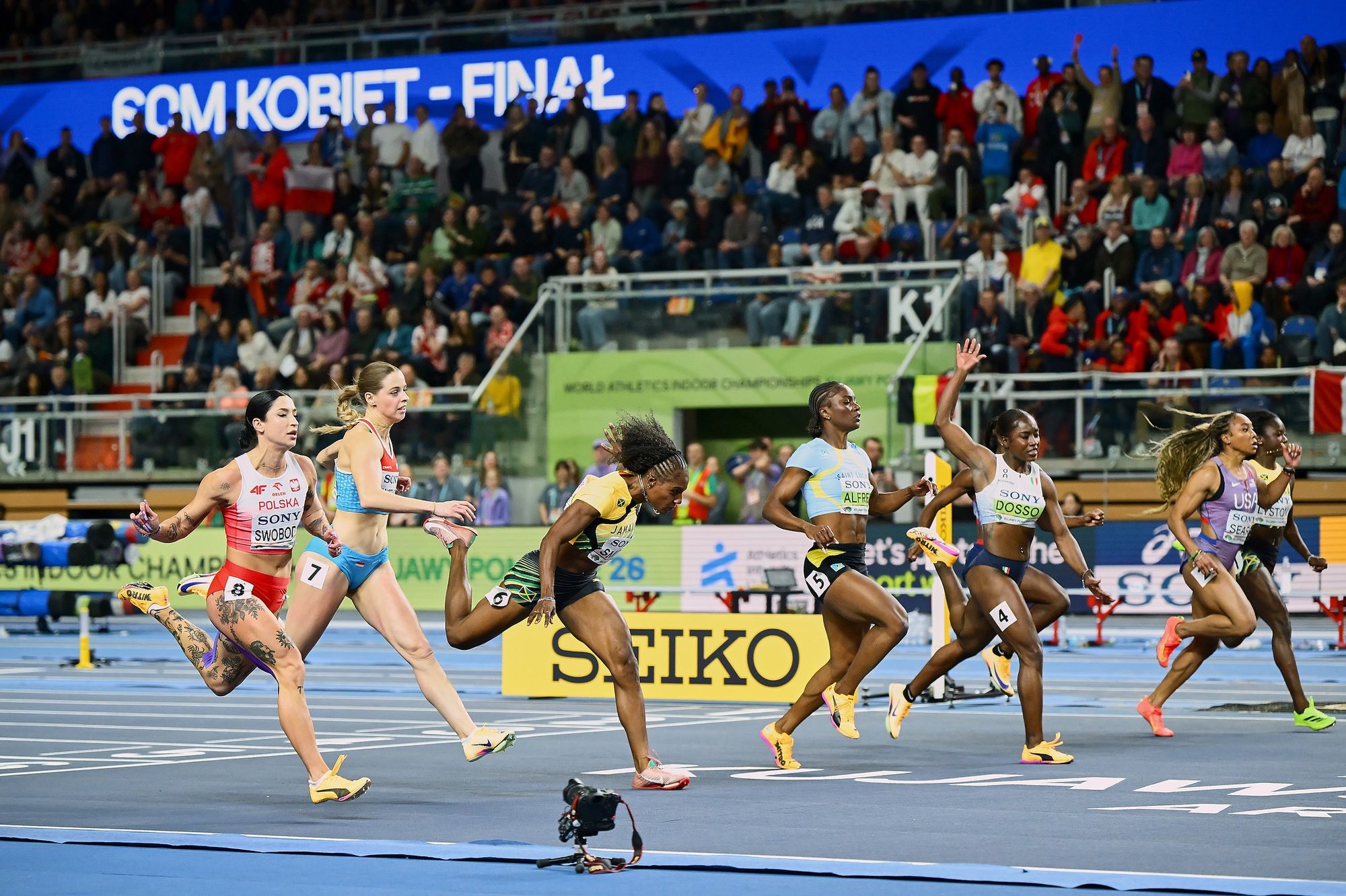 Halowe Mistrzostwa Świata