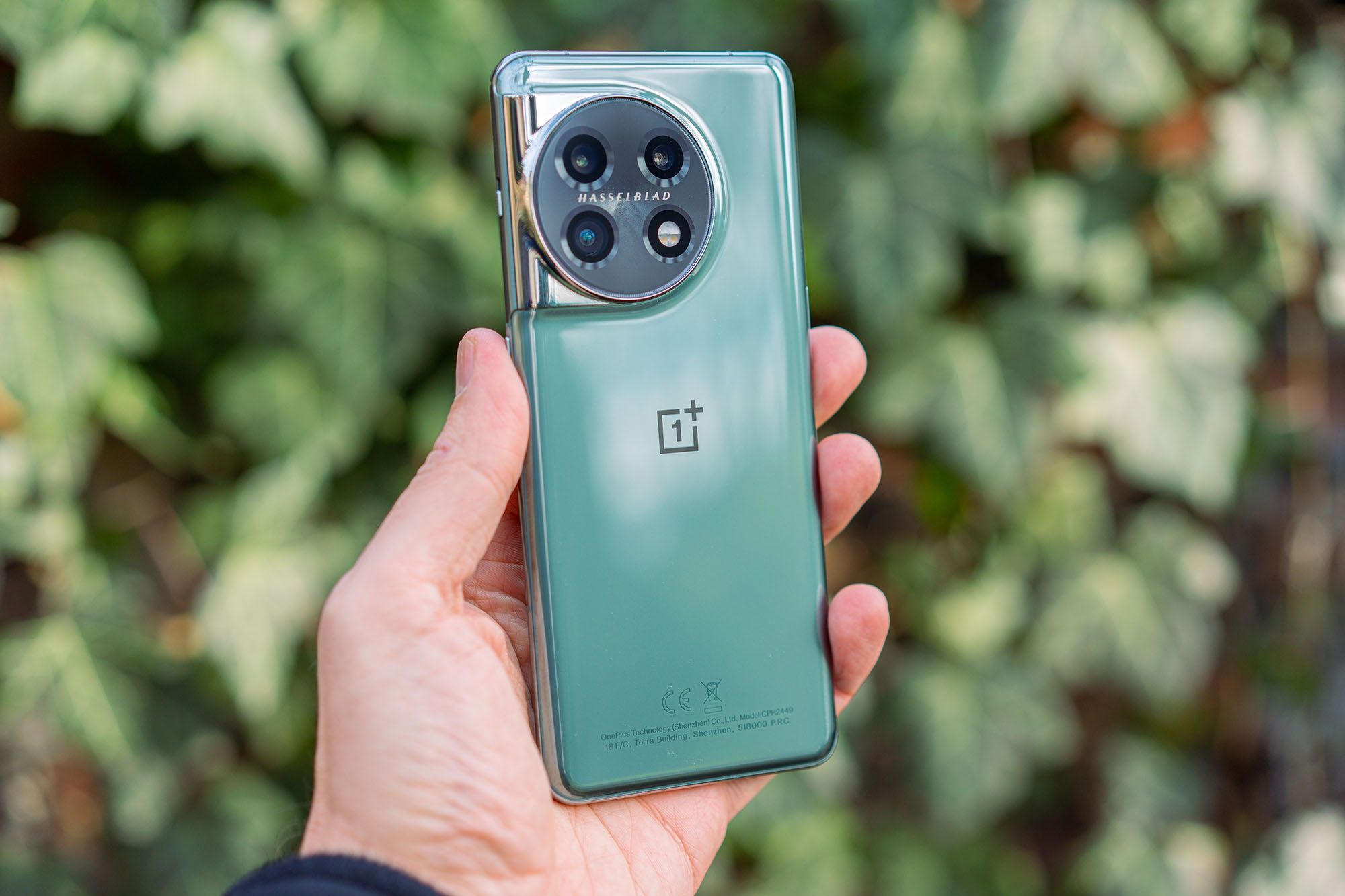 OnePlus 11