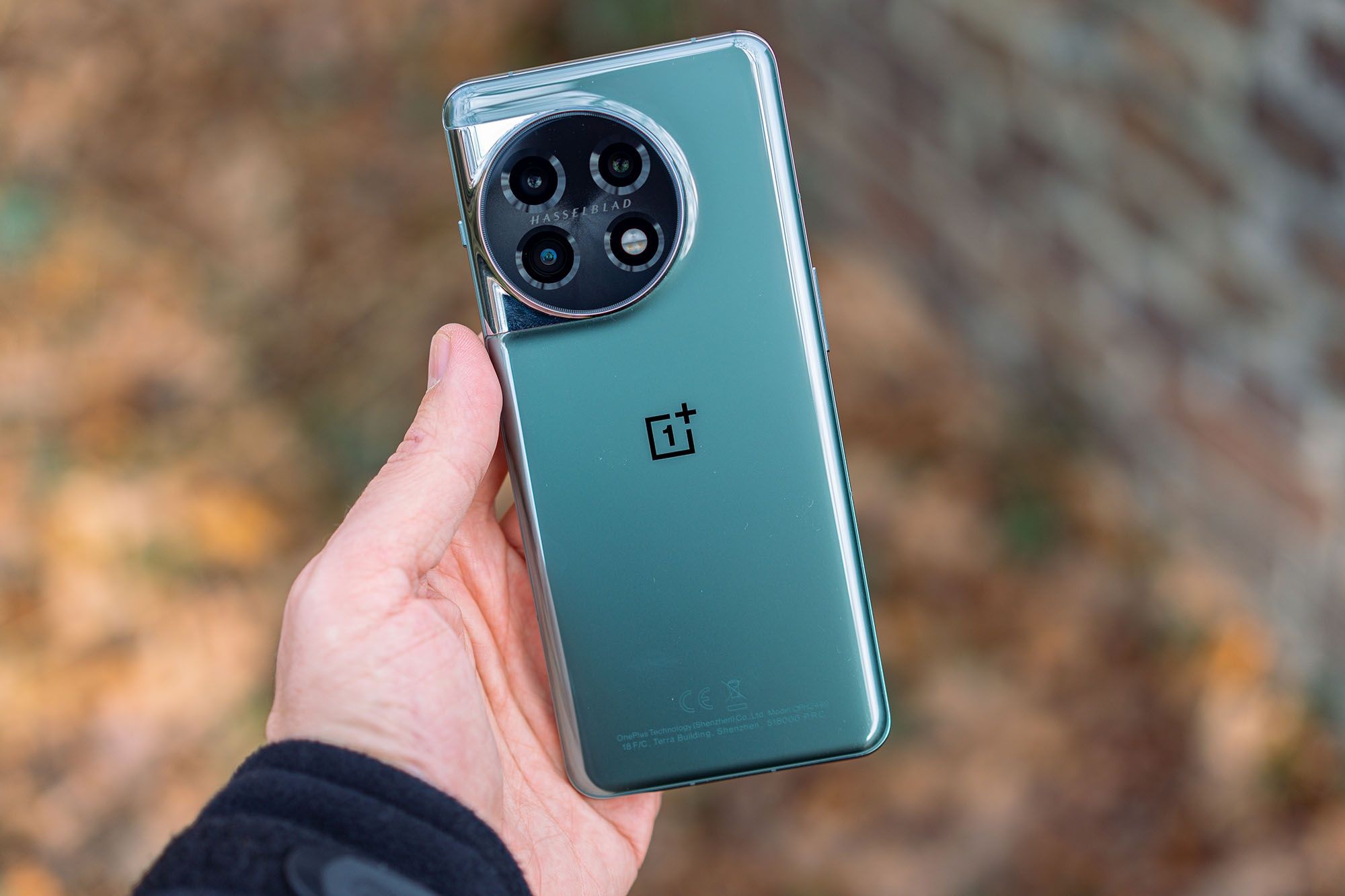 OnePlus 11