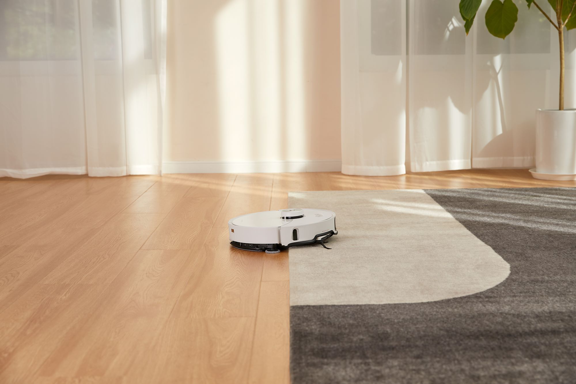 robot roborock