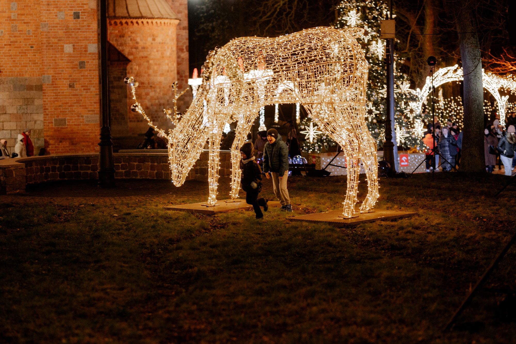 Płockie Ogrody Światła