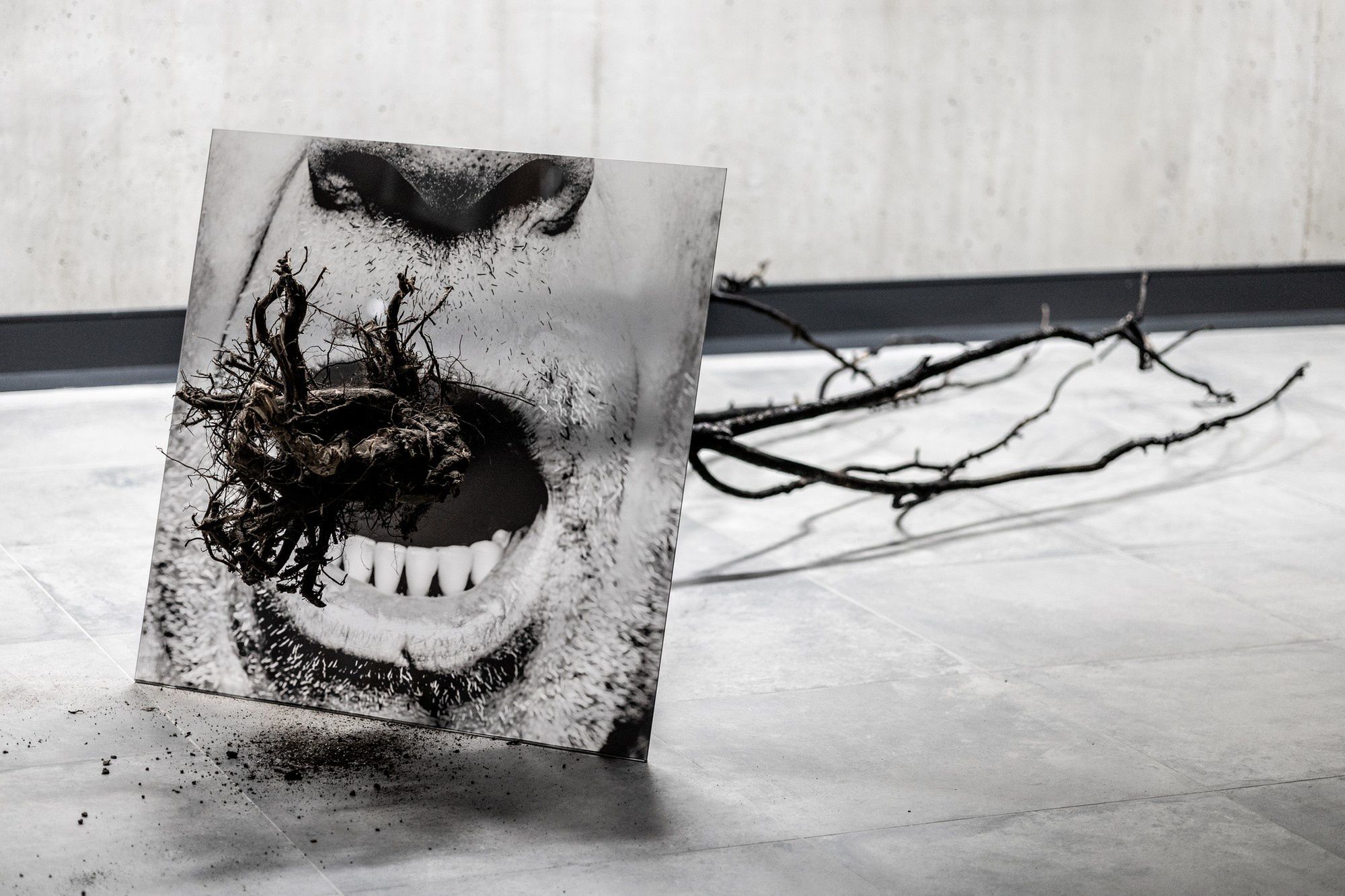 V Płockie Dni Fotografii 