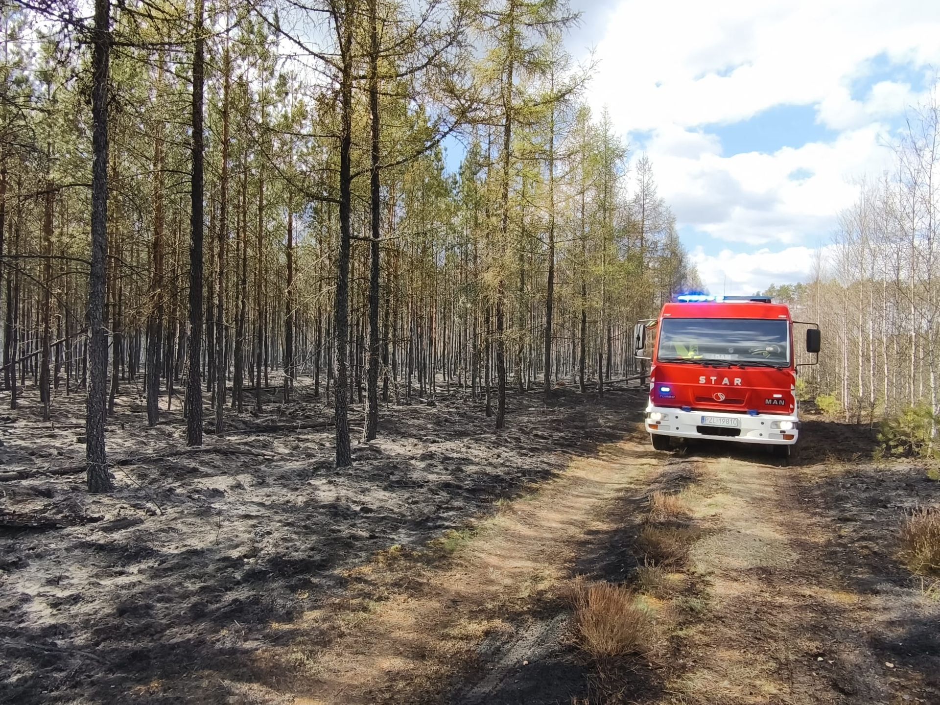 Pożar lasu Brzeźnica