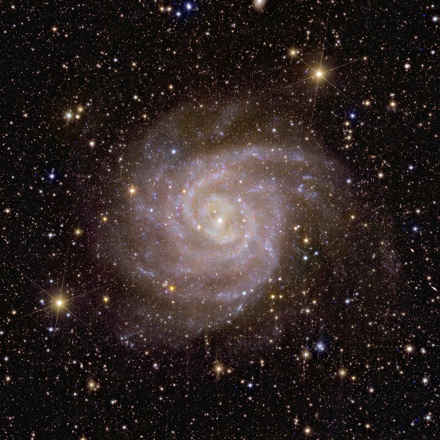 Galaktyka IC342