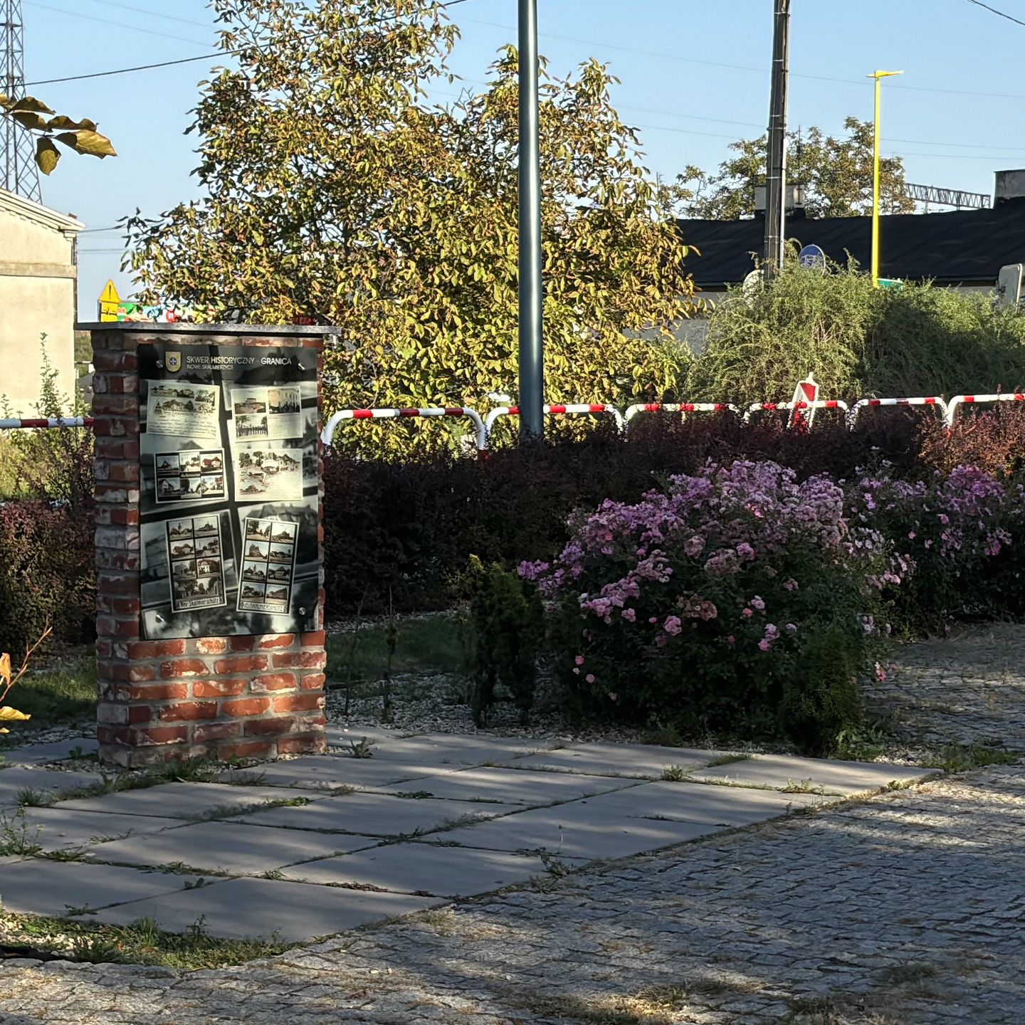 iPhone 15 - aparat główny (48 MP, 1x) fragment