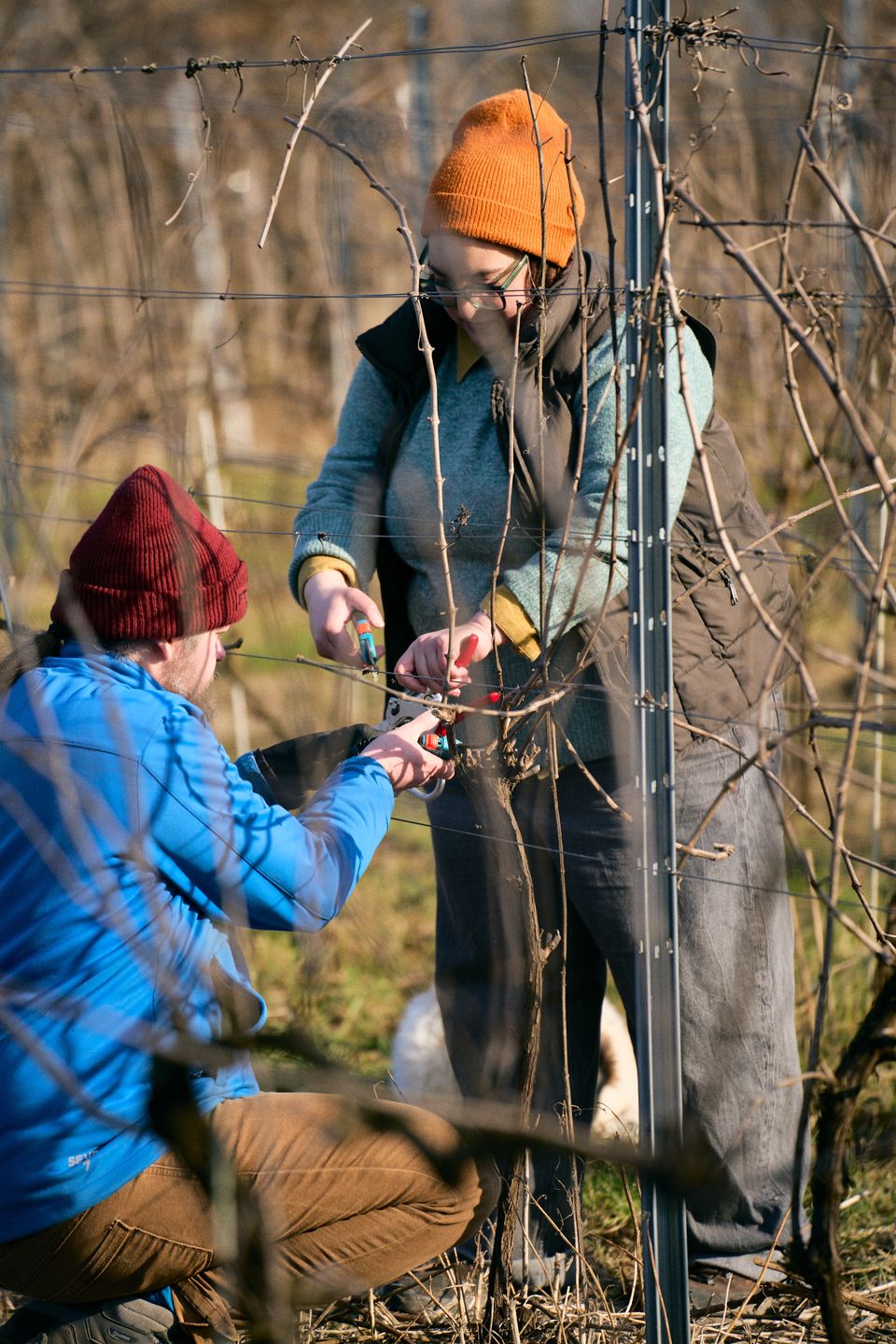 Ninę i Patryka połączyła miłość... do dobrego wina
