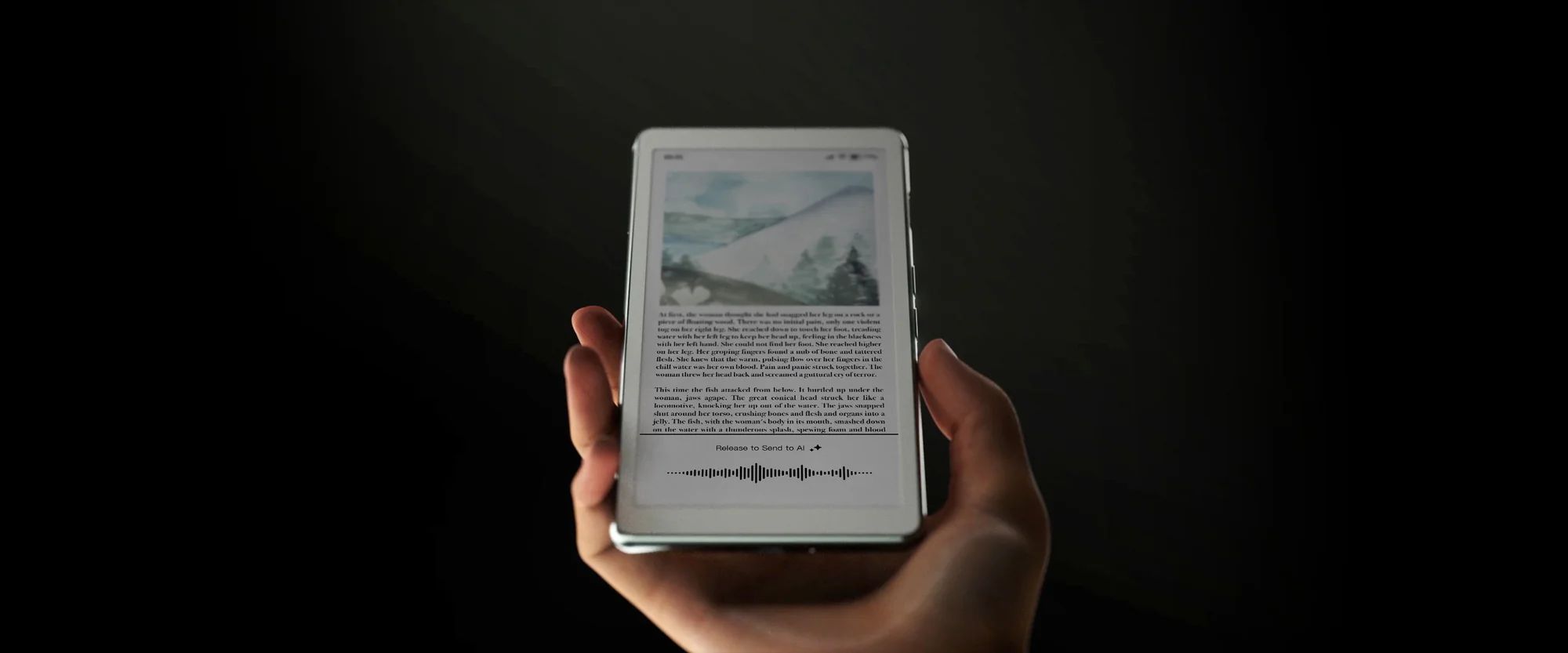 Viwoods AiPaper Reader C funkcje AI