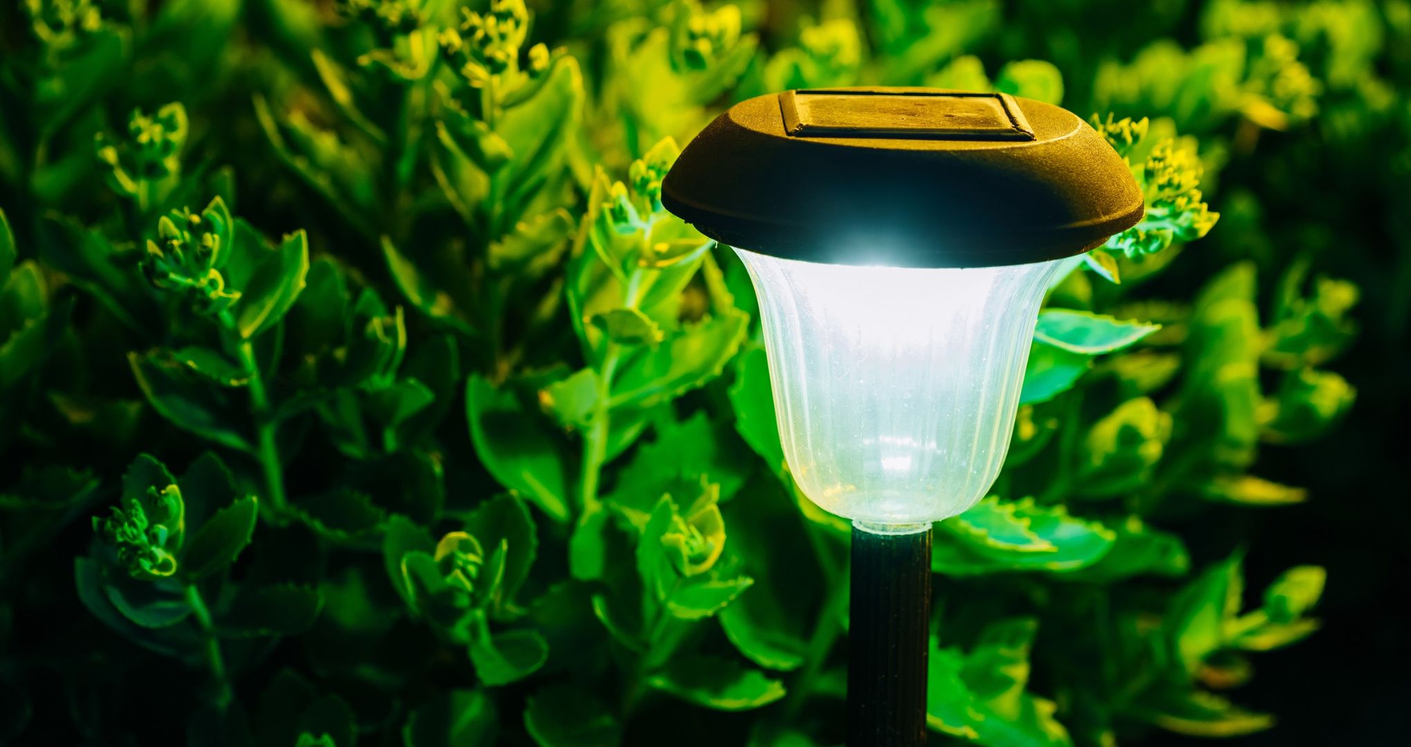 Jak przechowywać lampki solarne zimą, żeby działały na wiosnę?
