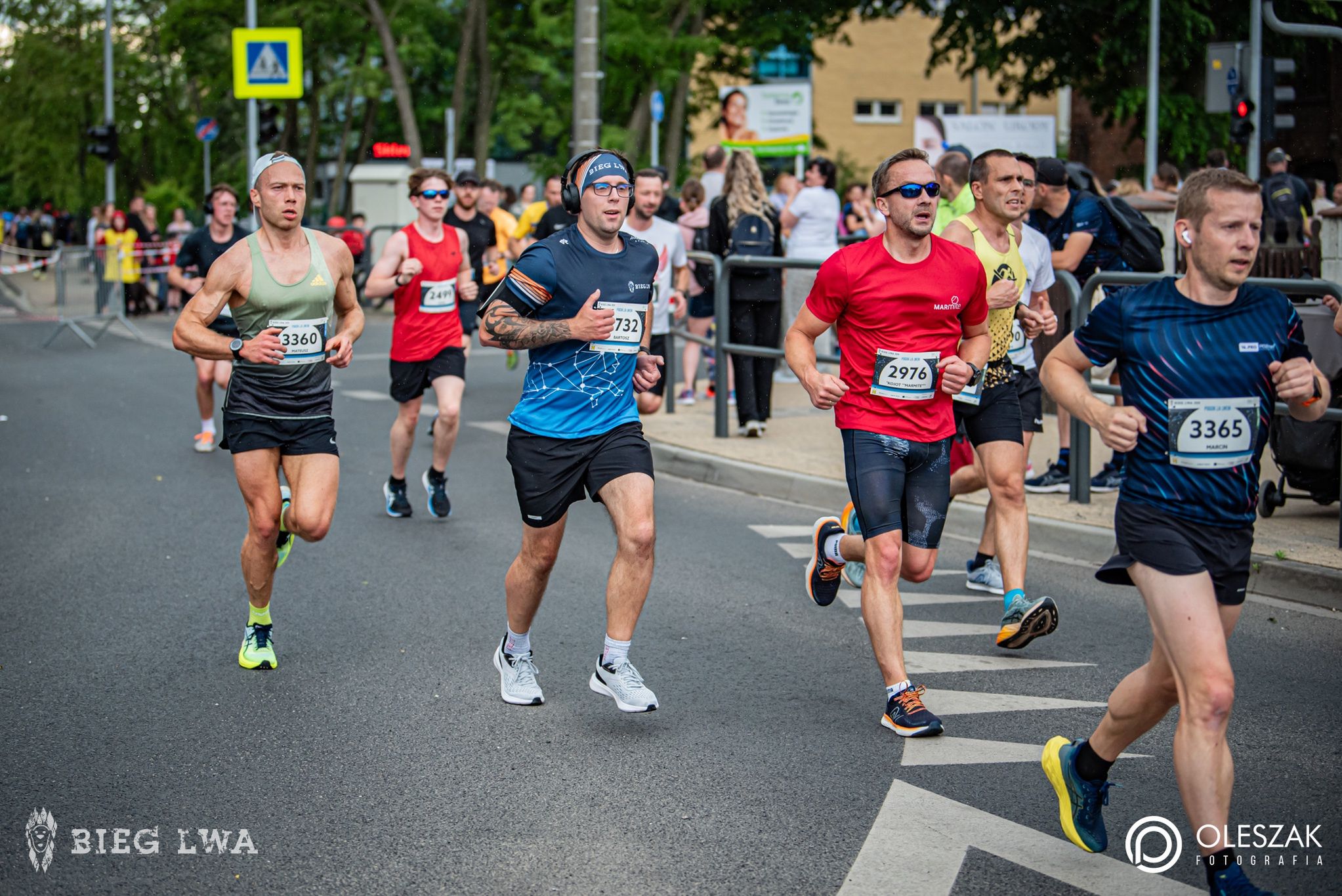 bieg lwa