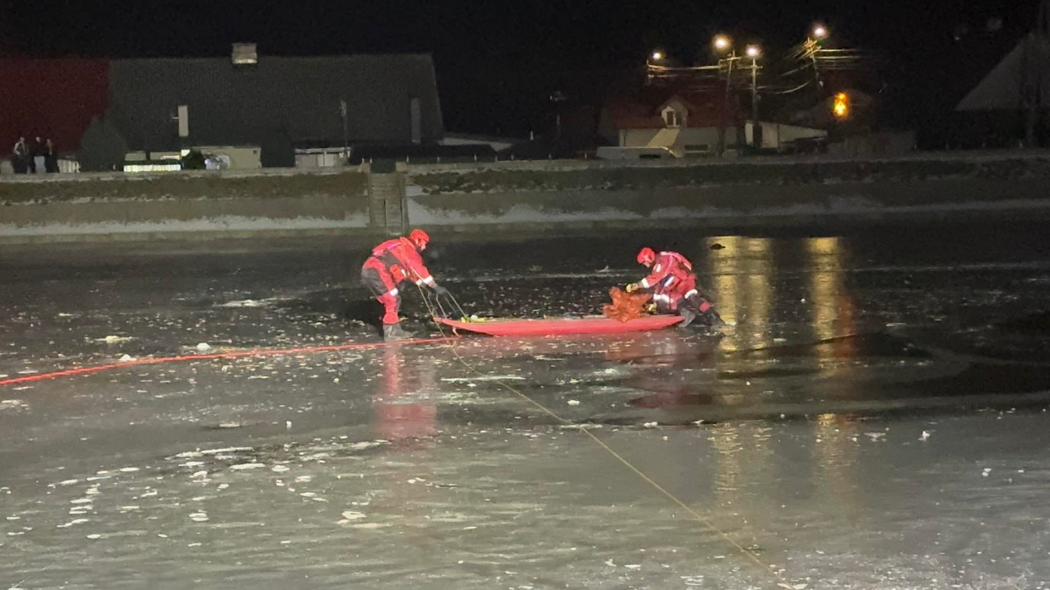 Uratowane trzy łabędzie 