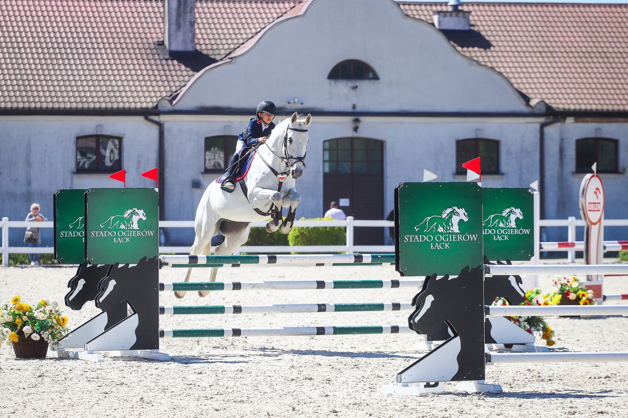 Majestatyczne ujęcia ze Stada Ogierów w Łącku 