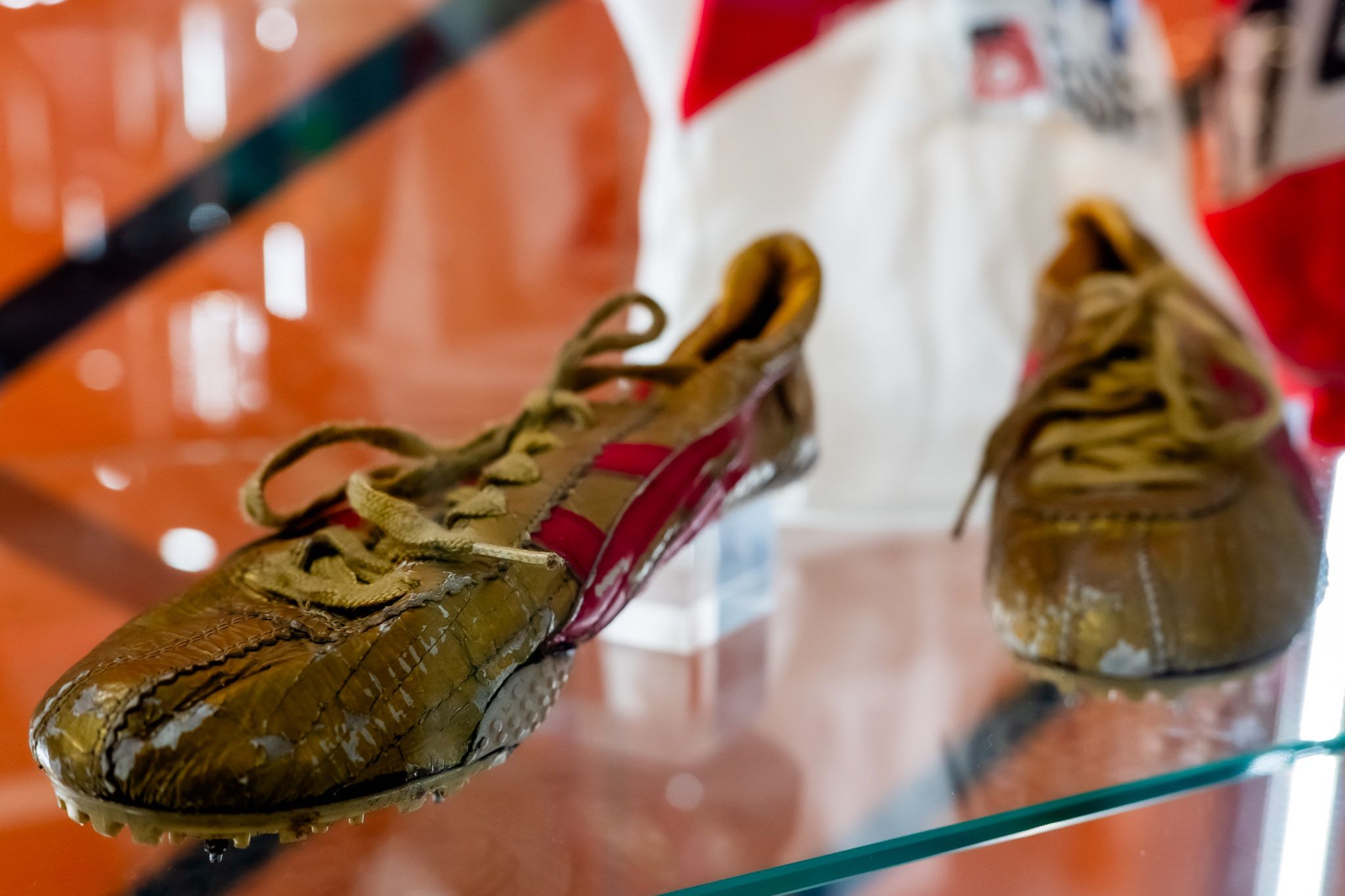 Wystawa w CHR Toruń Plaza 