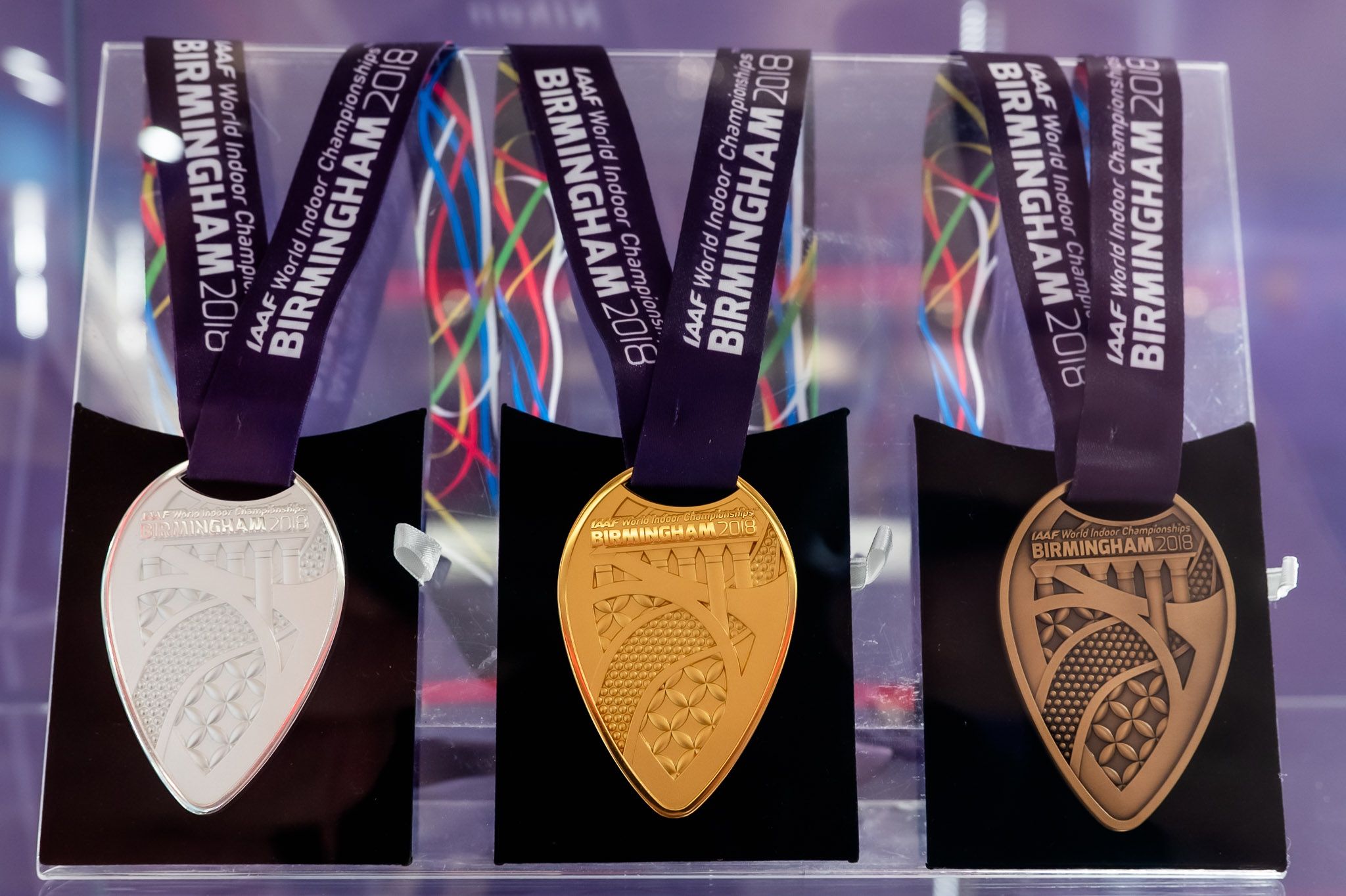 Wystawa w CHR Toruń Plaza 