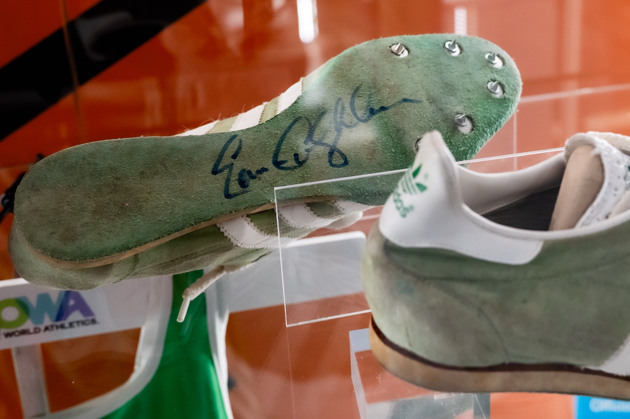 Wystawa w CHR Toruń Plaza 