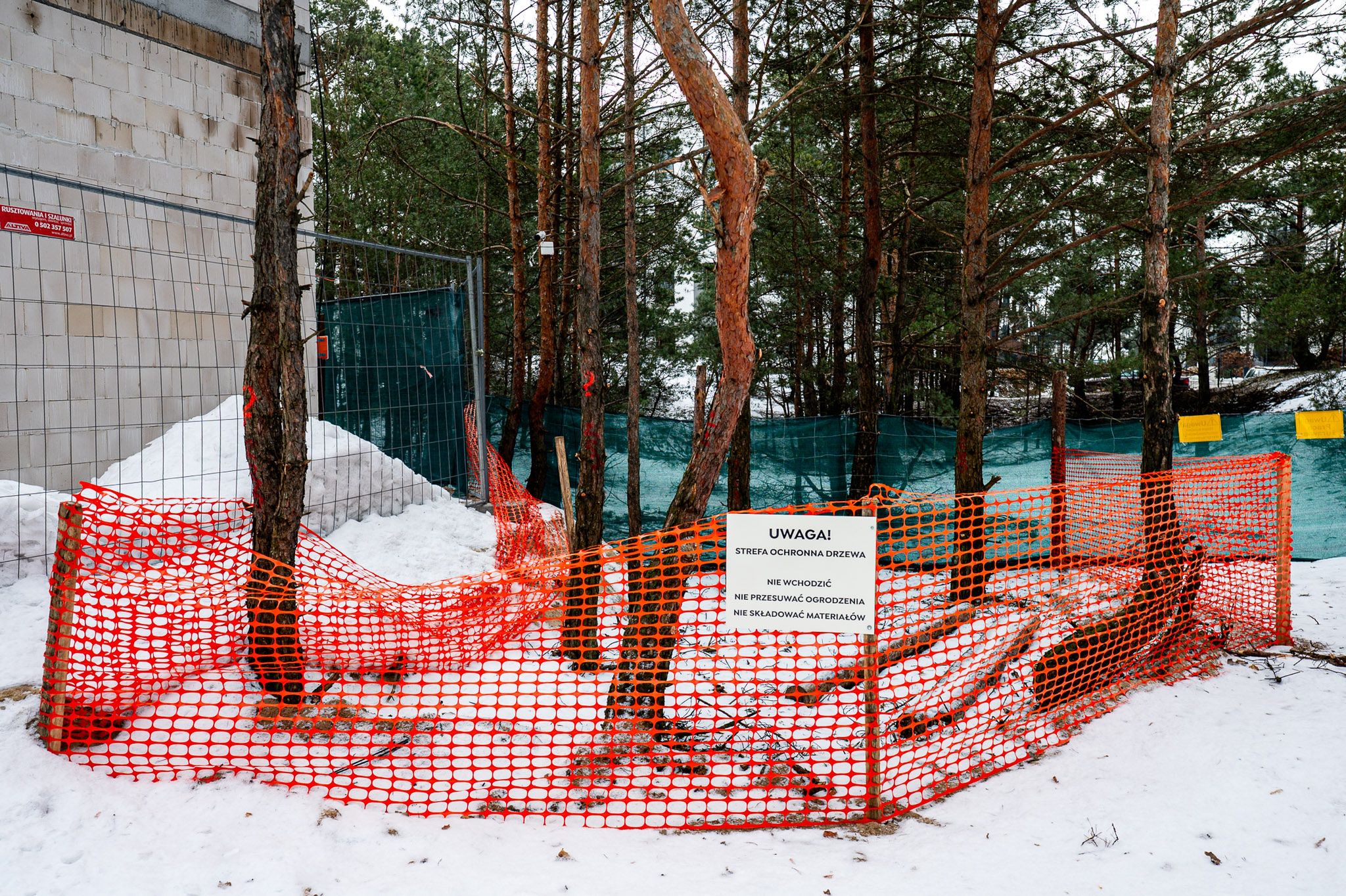 Budowa żłobka na Jarze