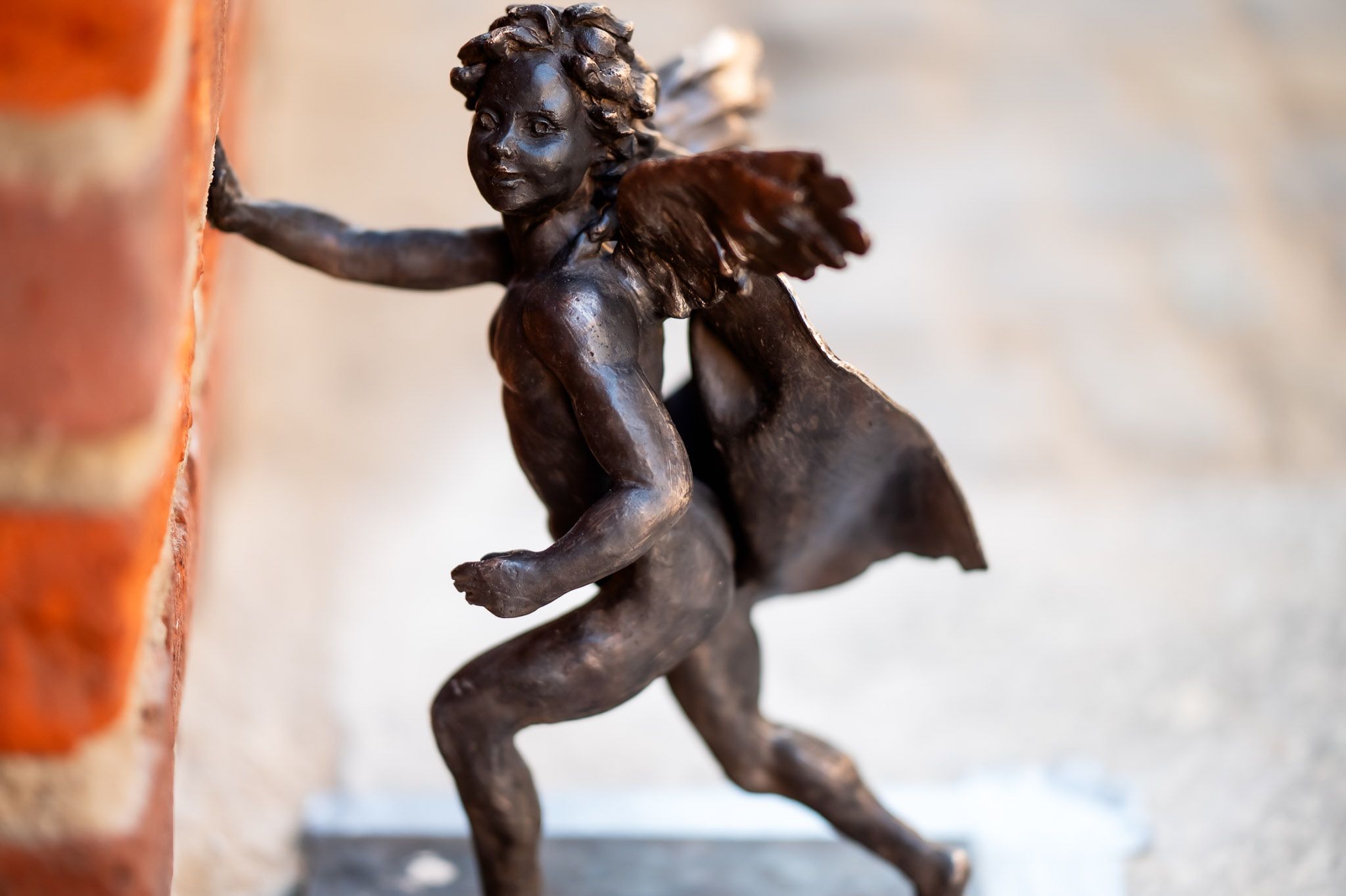 Nowe aniołki w mieście