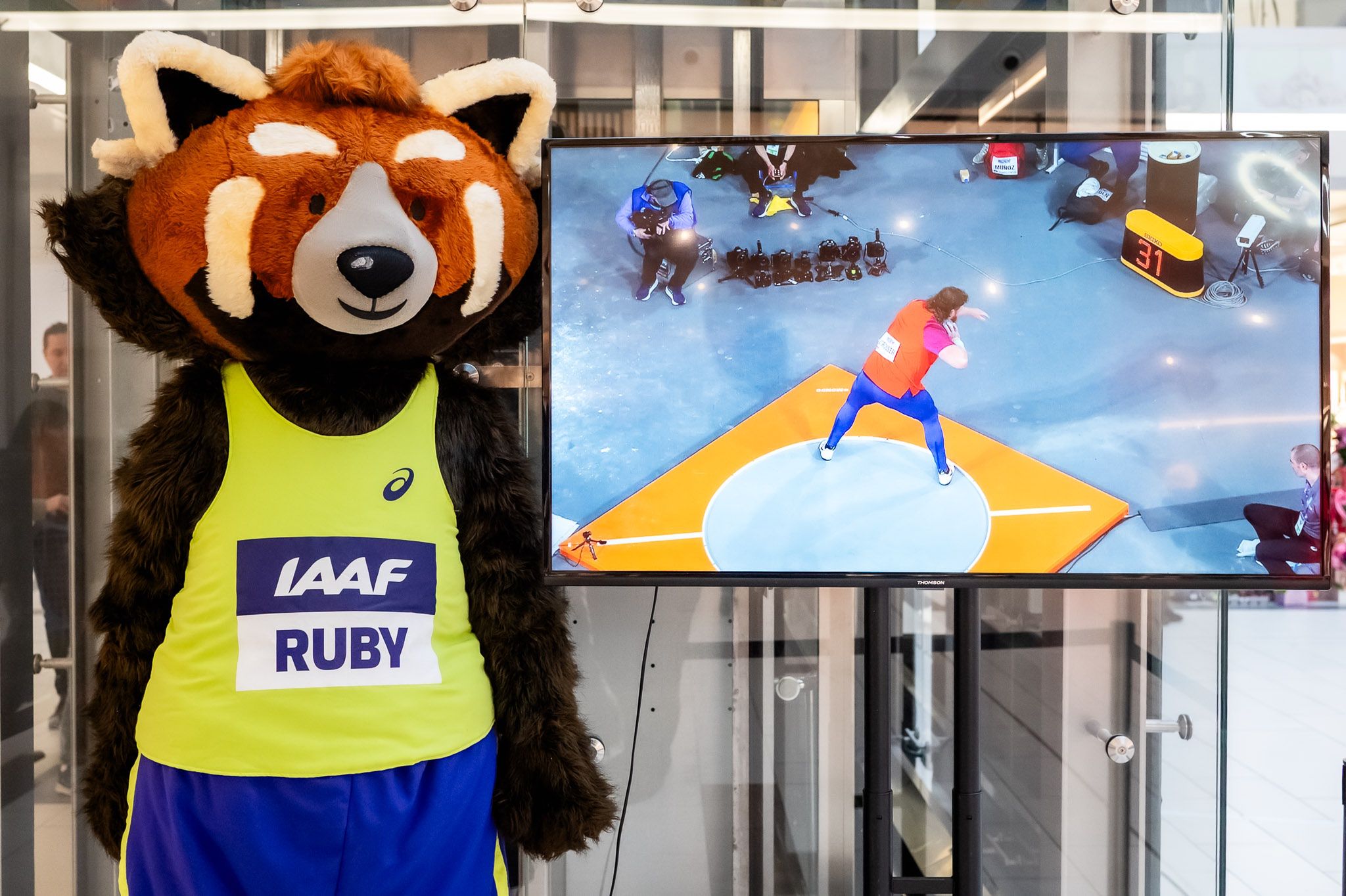 Wystawa w CHR Toruń Plaza 