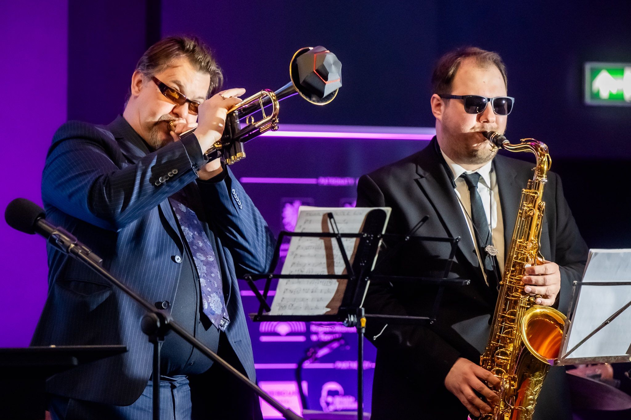 Gala Gwiazdozbioru Kryminalnego