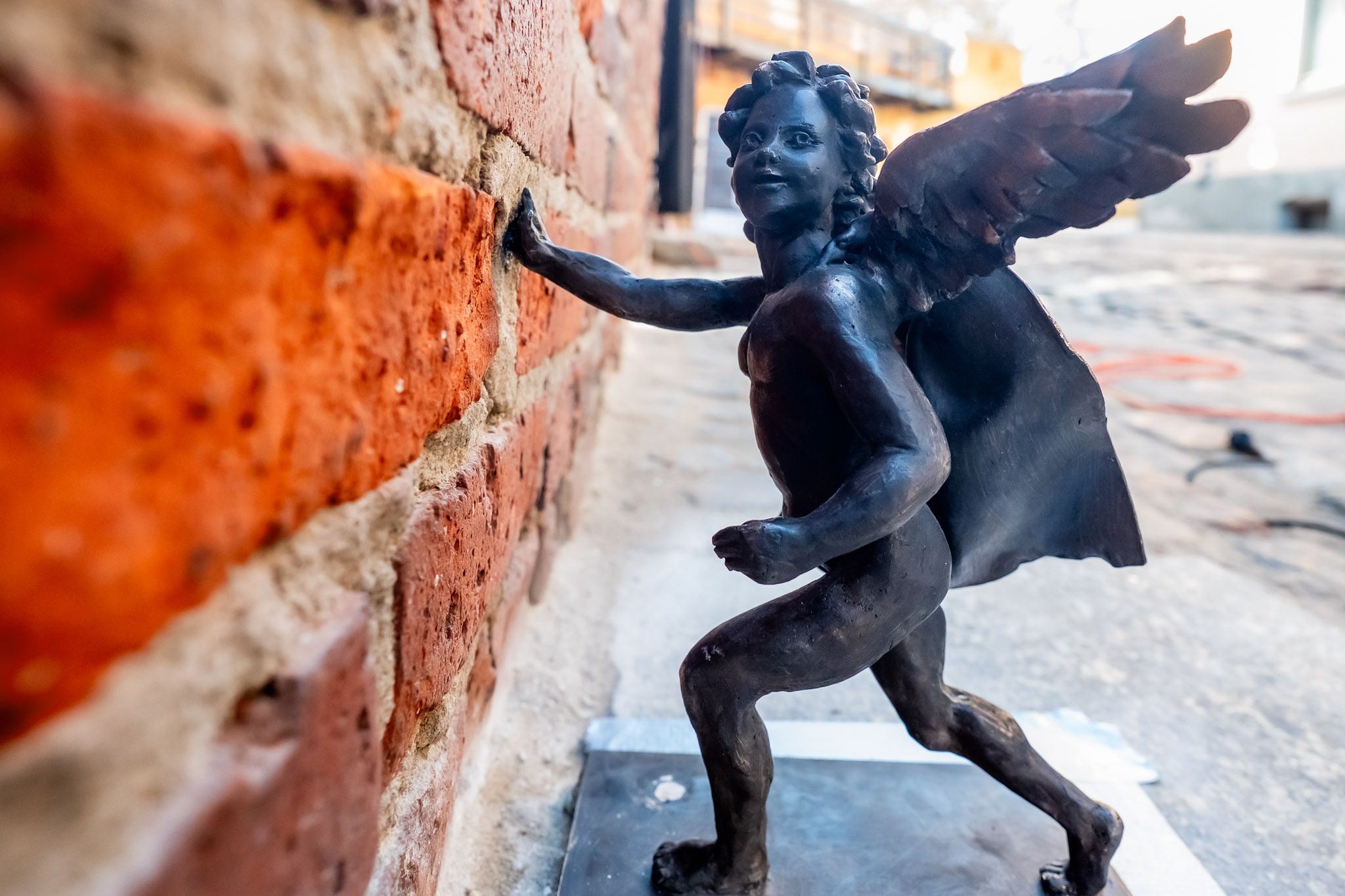 Nowe aniołki w mieście