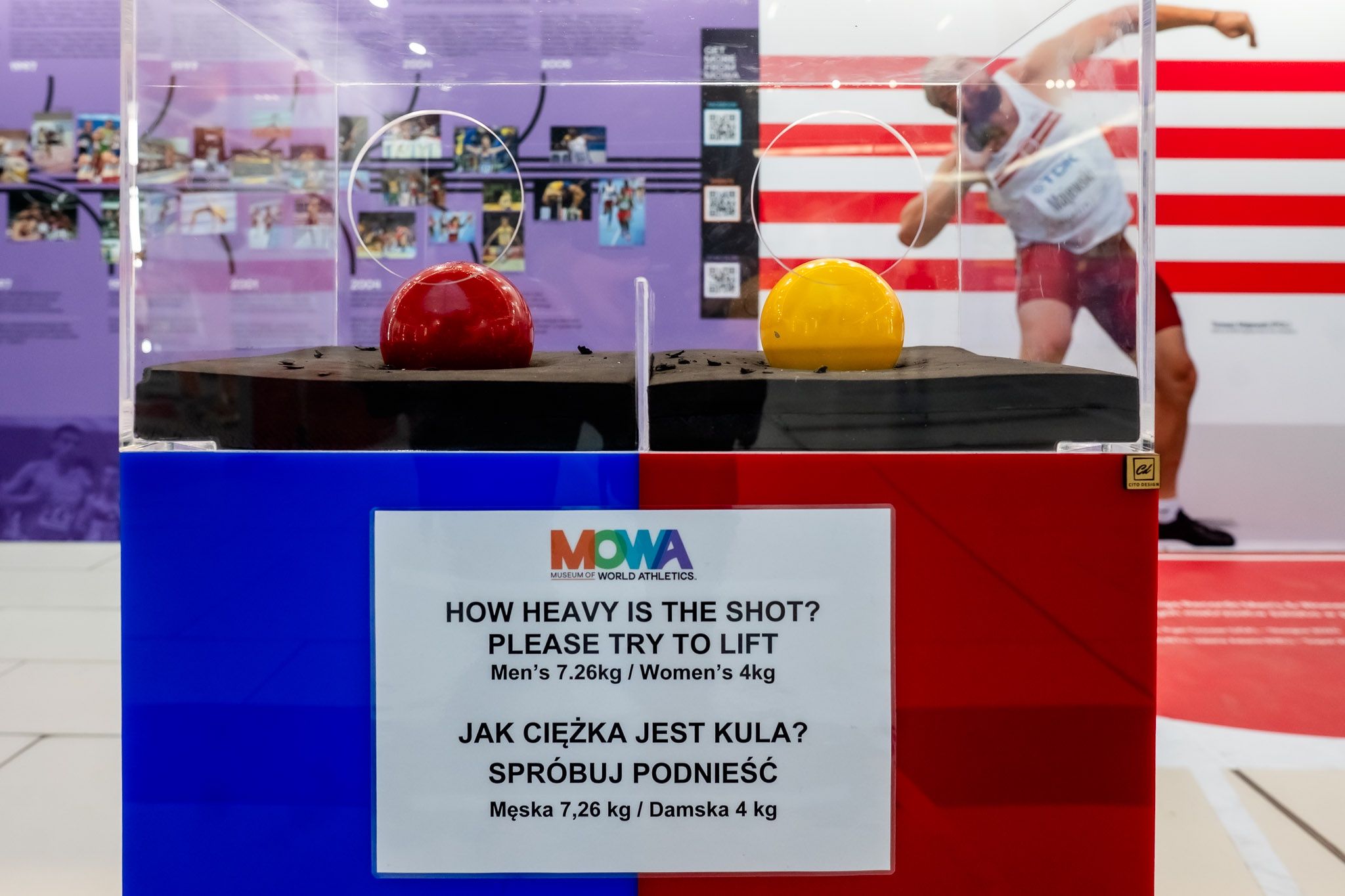 Wystawa w CHR Toruń Plaza 