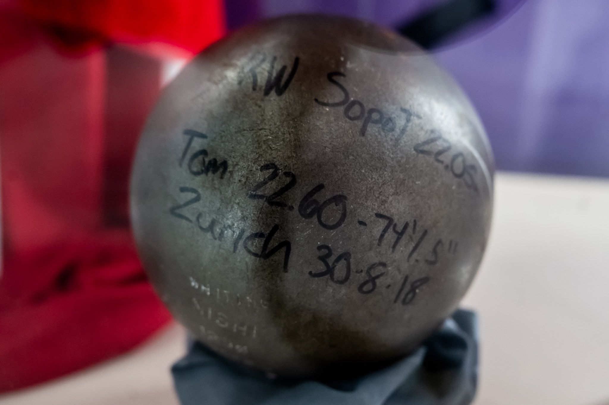 Wystawa w CHR Toruń Plaza 