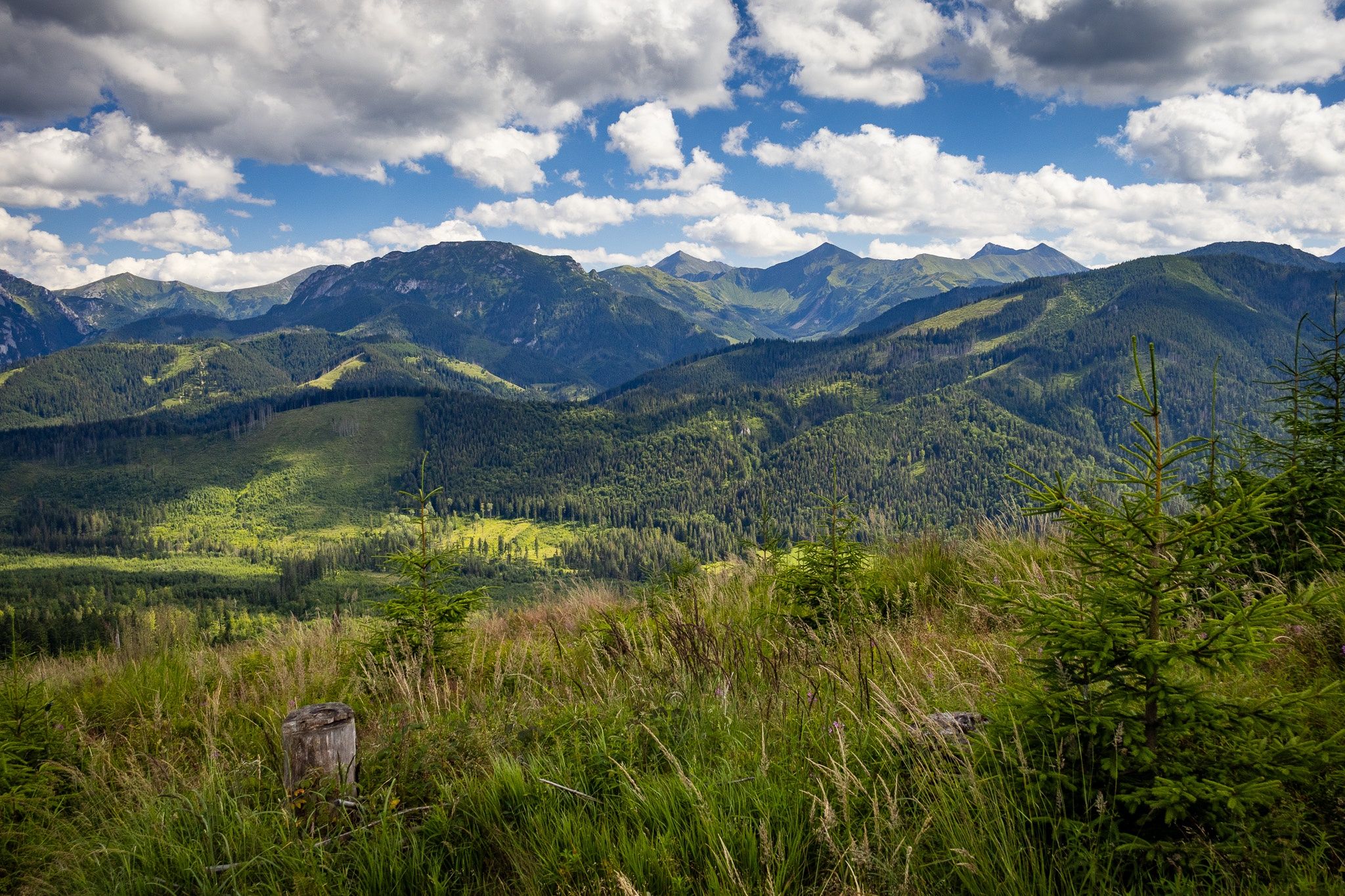 Widok na Tatry z Magury Witowskiej