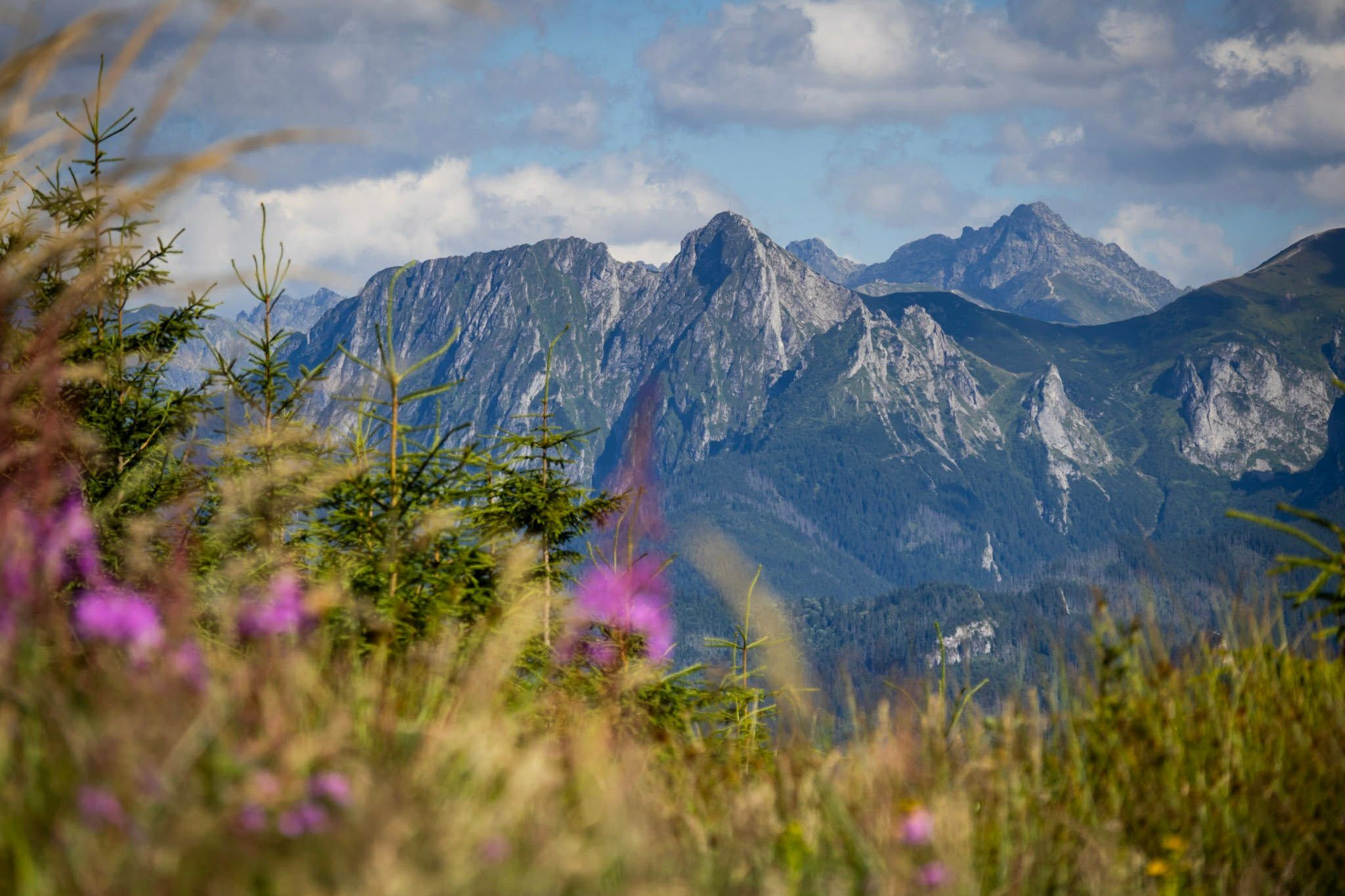 Giewont z Magury Witowskiej 