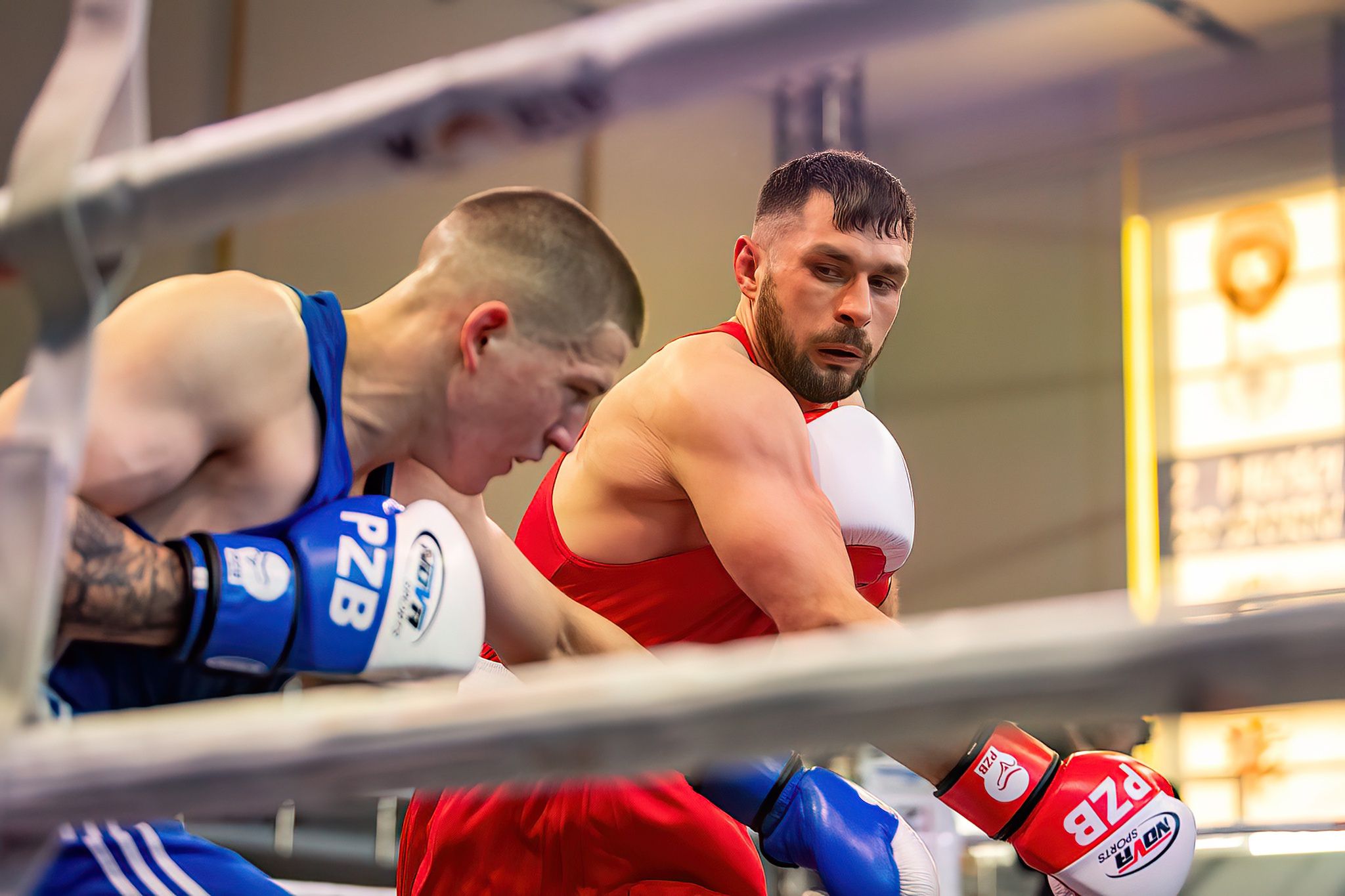 Pomorzanin Boxing Team - Concordia Knurów