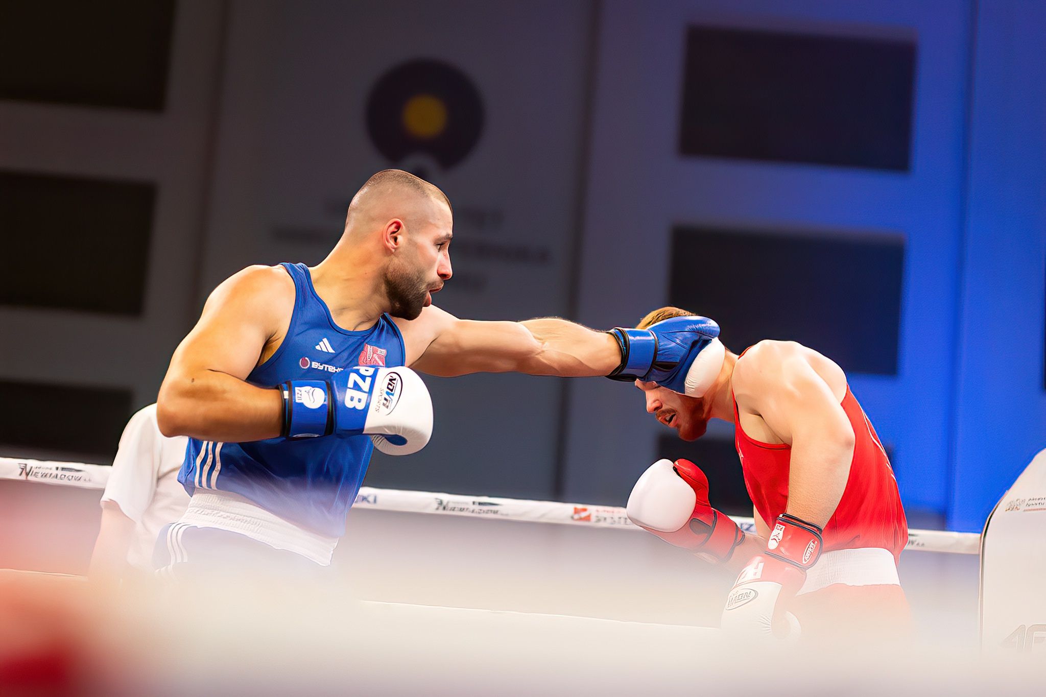 Pomorzanin Boxing Team - Concordia Knurów
