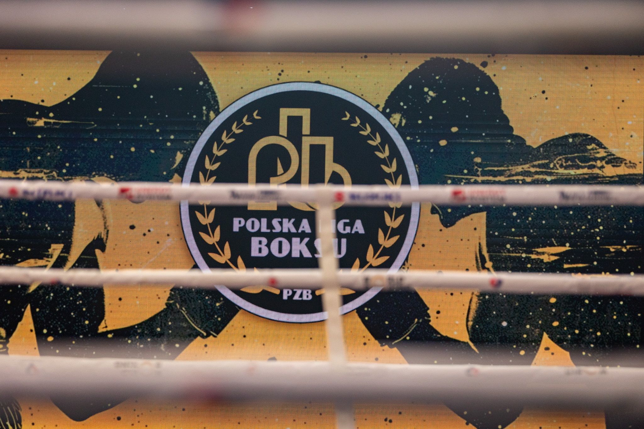 Pomorzanin Boxing Team - Concordia Knurów