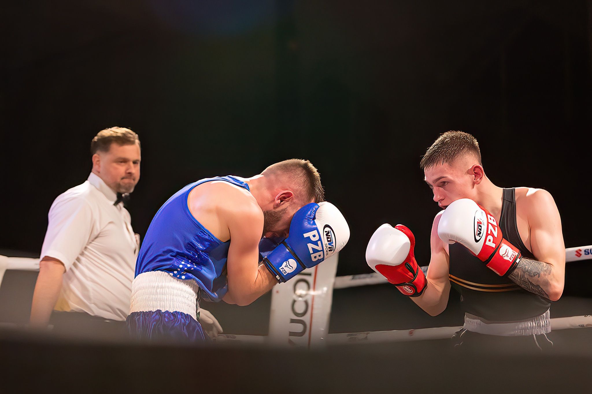 Polska Liga Boksu Pomorzanin Boxing Team - Imperium Wałbrzych