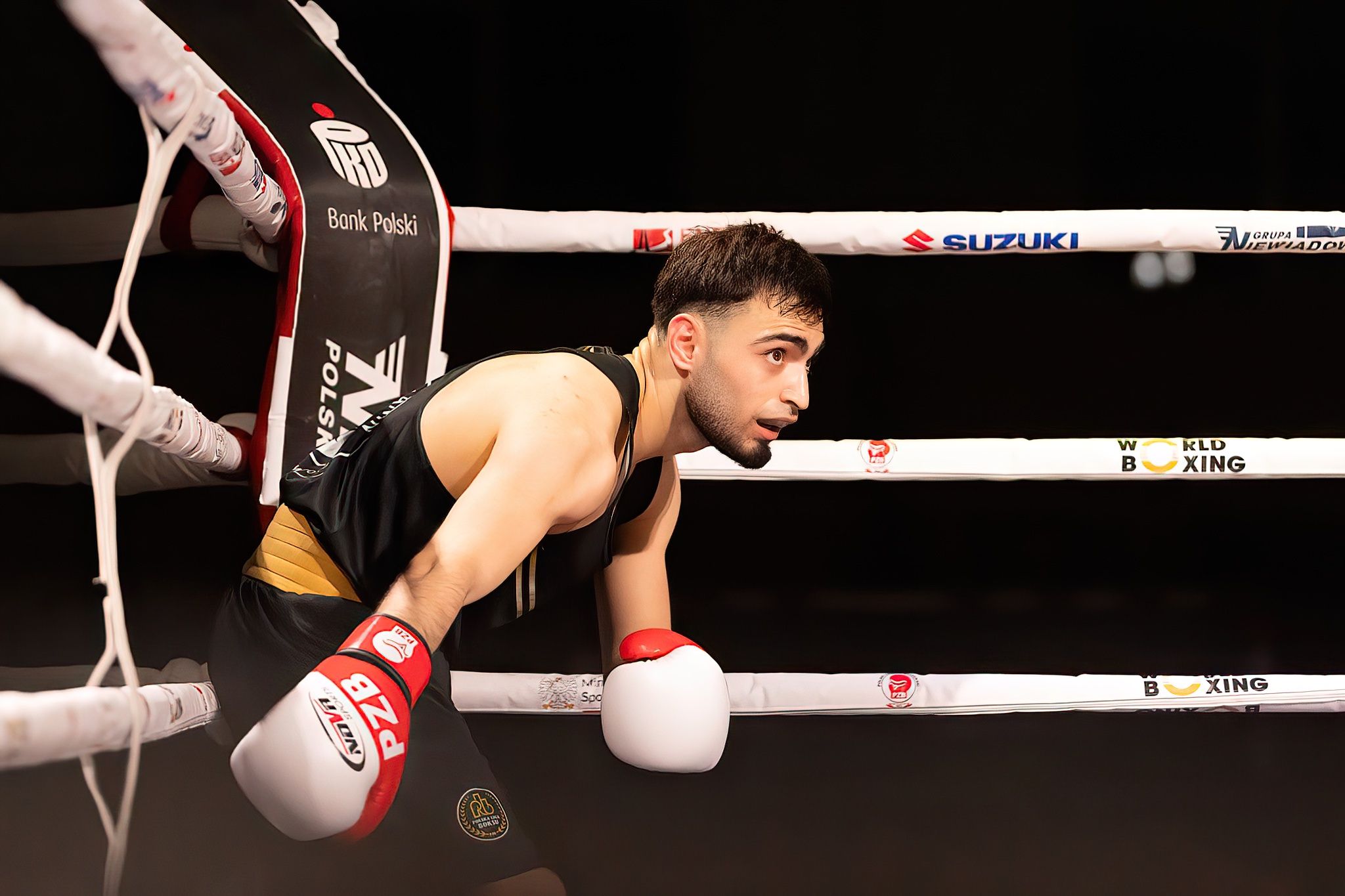 Polska Liga Boksu Pomorzanin Boxing Team - Imperium Wałbrzych