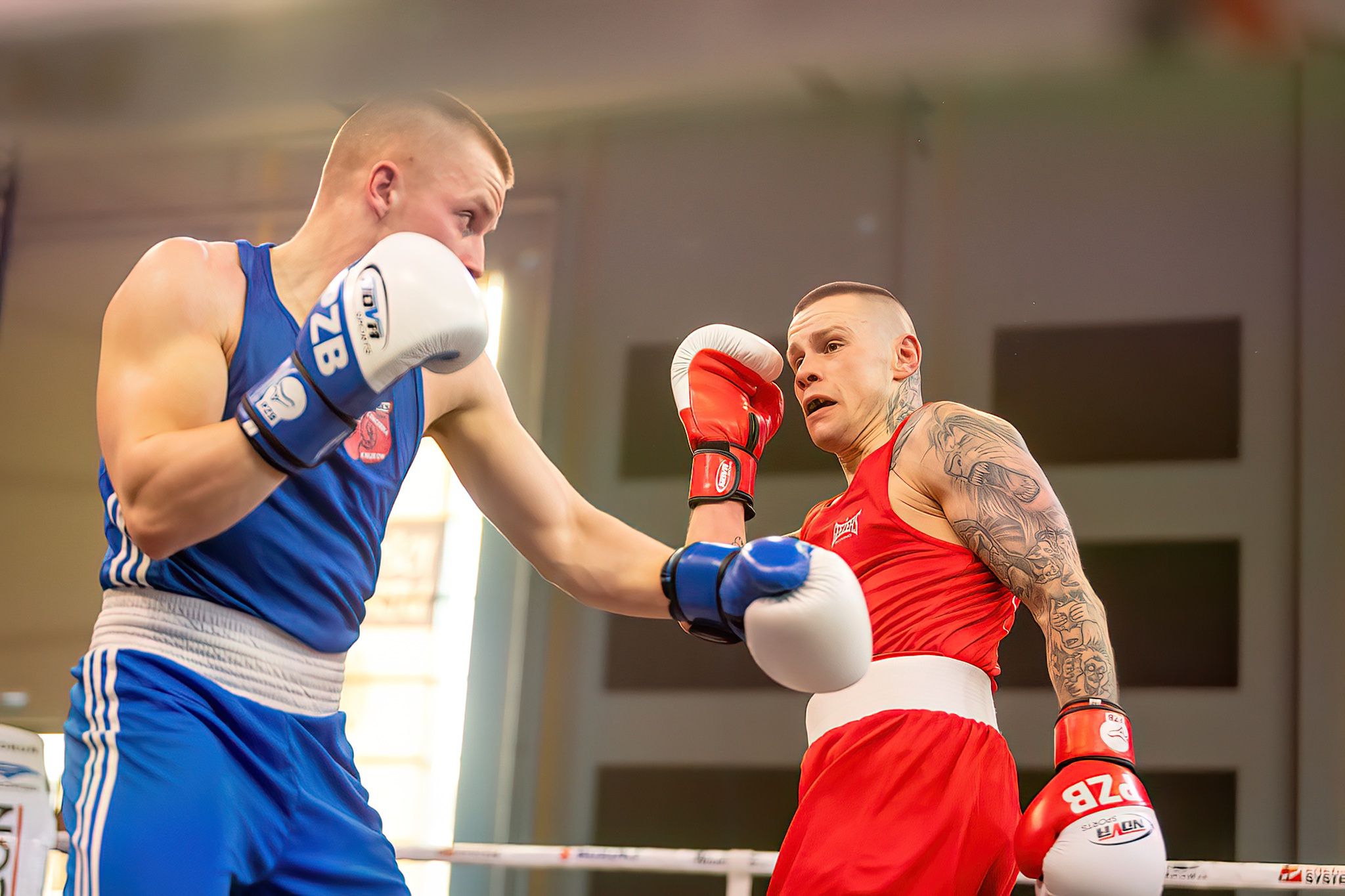 Pomorzanin Boxing Team - Concordia Knurów