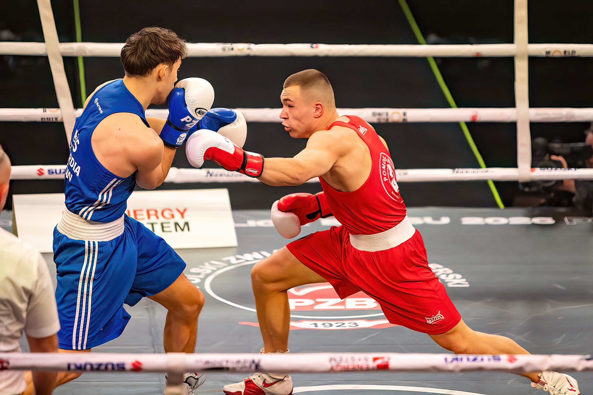 Pomorzanin Boxing Team - Concordia Knurów